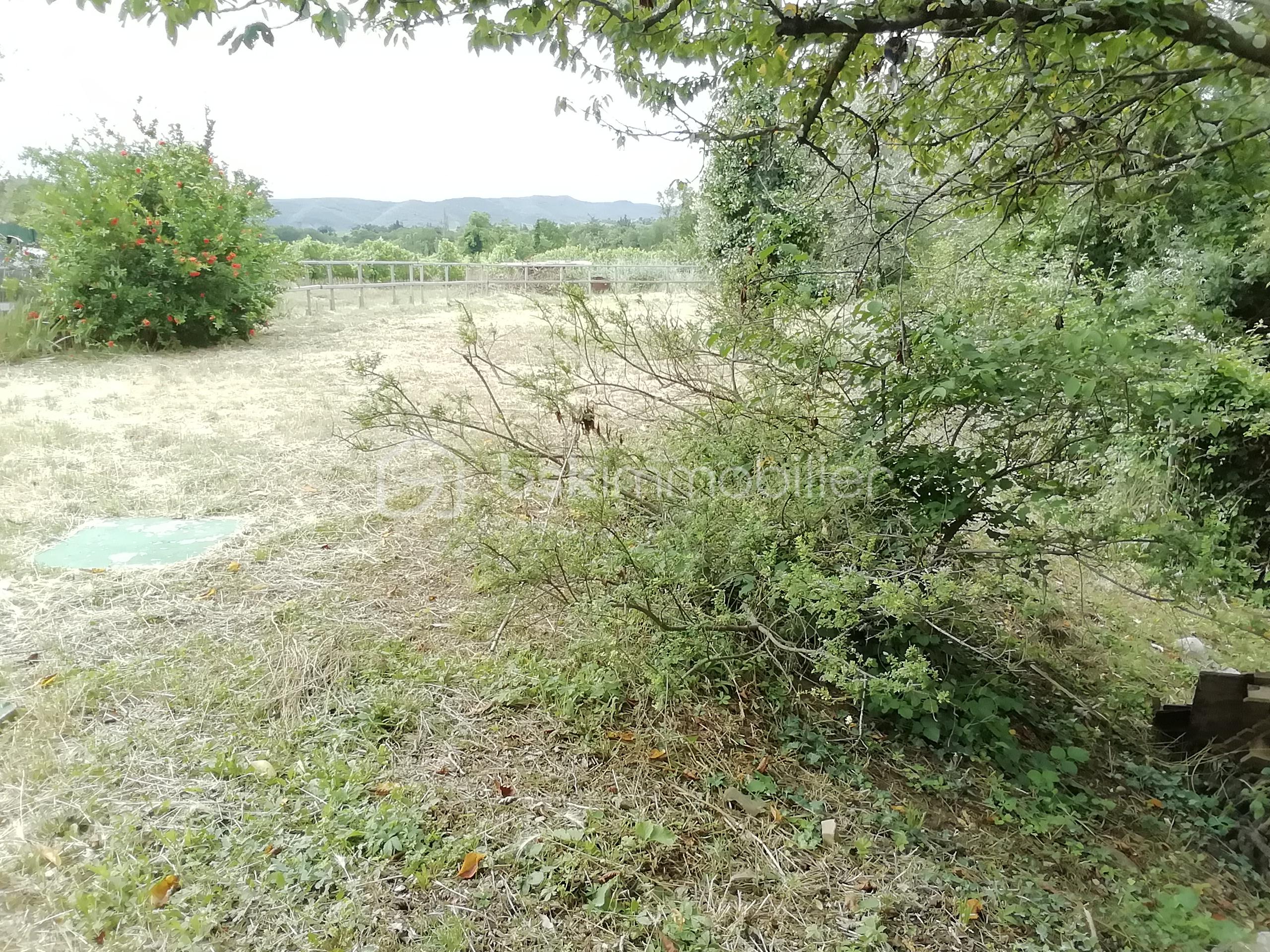 Maison de 123 m² - IMG_20230701_112257.jpg