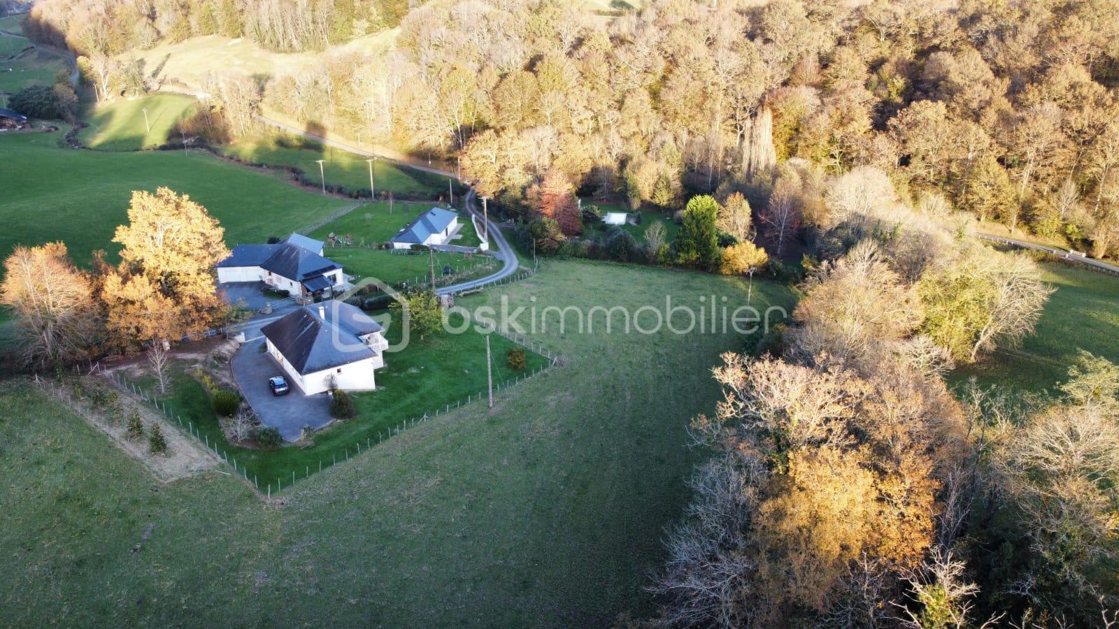 Terrain de 1 640 m² - IMG_5541.JPG