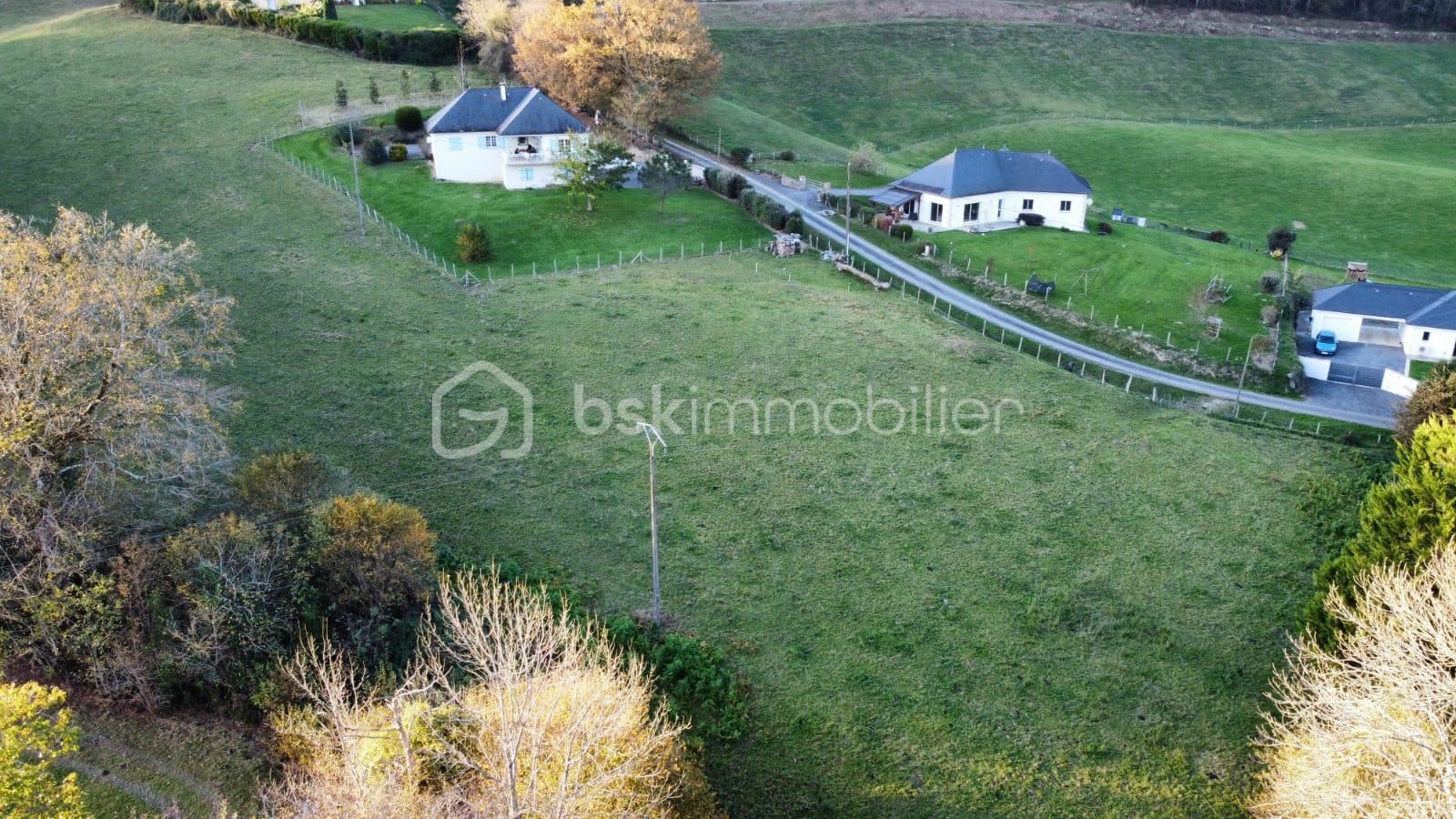 Terrain de 1 640 m² - IMG_5539.JPG