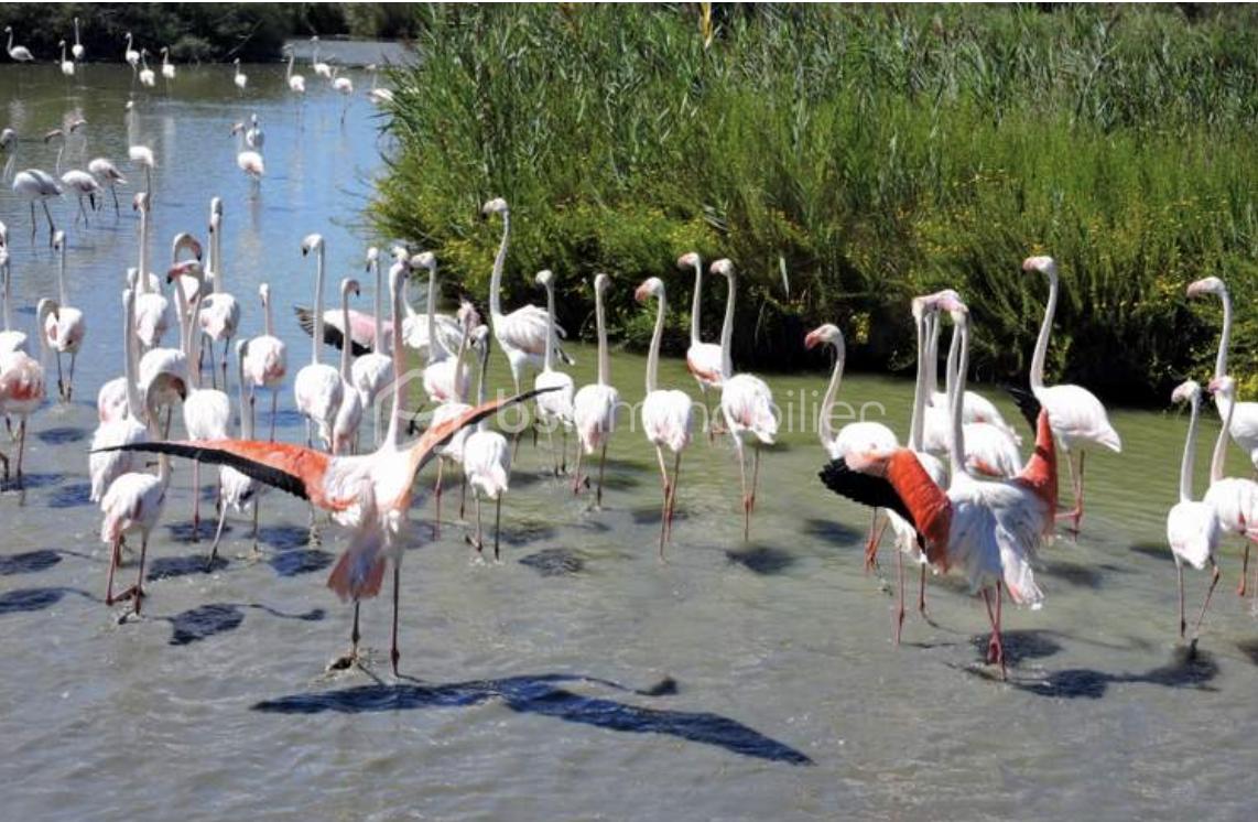 Maison de ville de 78 m² - Capture d’écran 2026-01-16 à 10.49.02.png