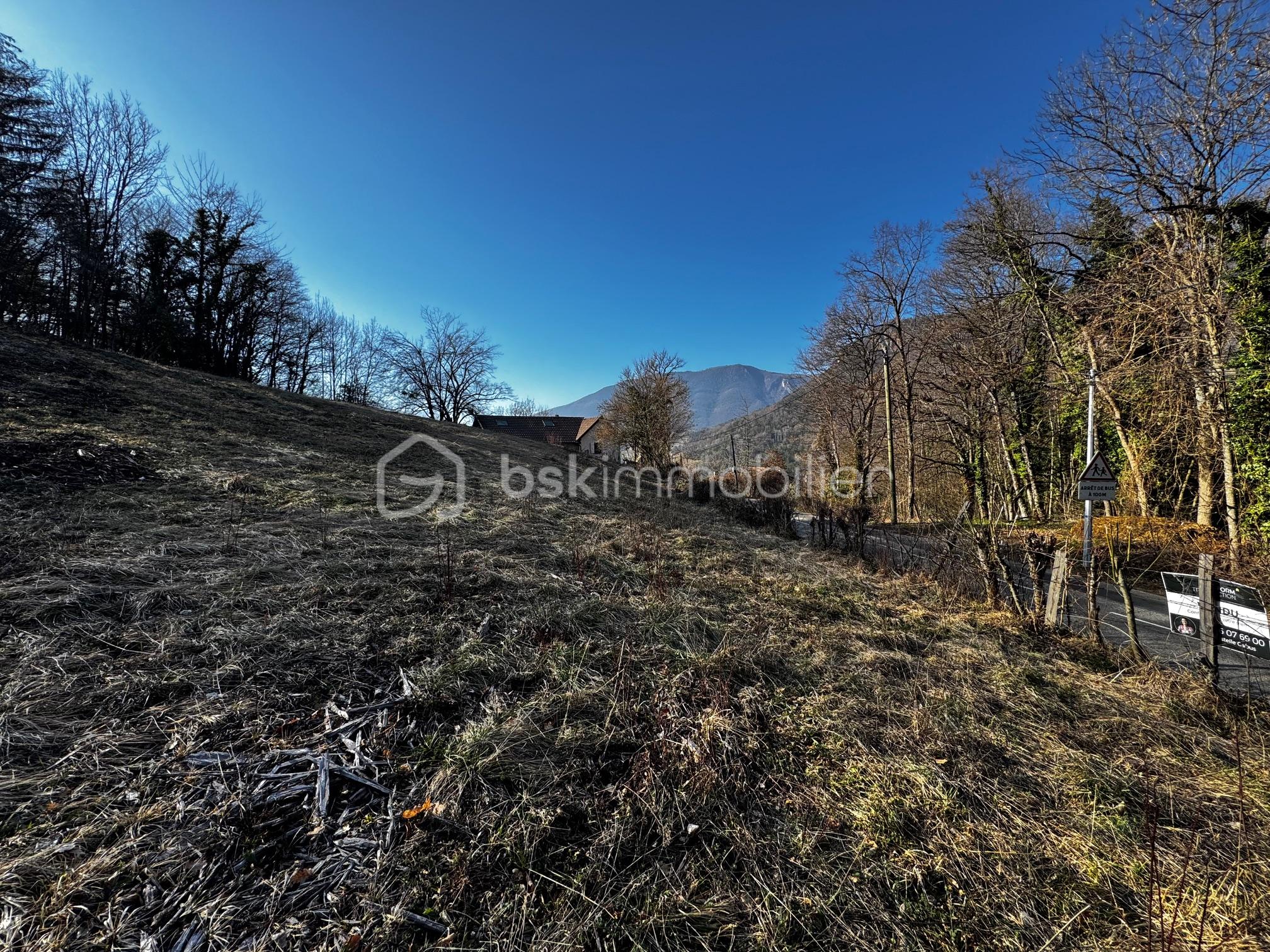 Terrain de 1 887 m² - IMG_8832.jpg