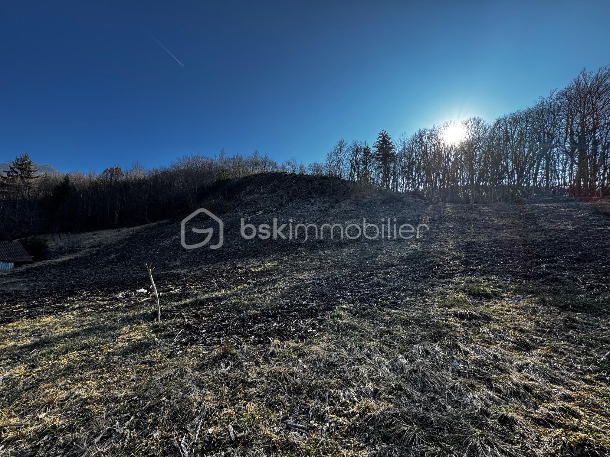 Terrain de 1 887 m² - IMG_8831.jpg