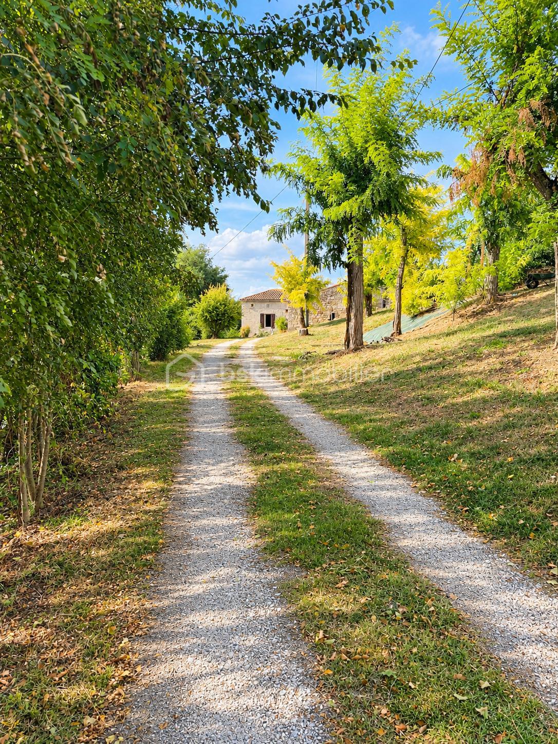 Chemin.jpg
