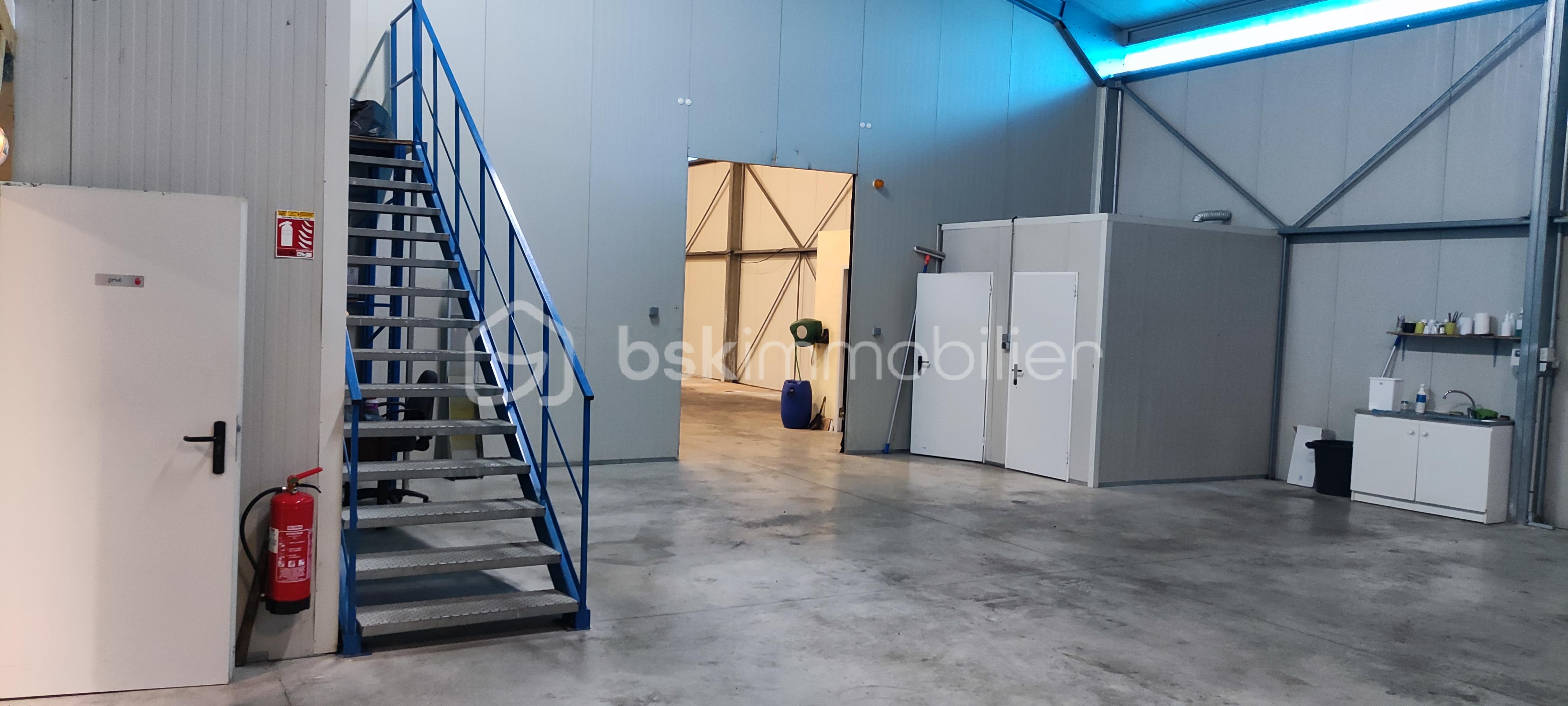 Local commercial de 450 m² - 1701329860309.jpg