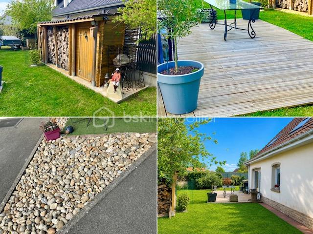 droguet amalgame jardin.jpg