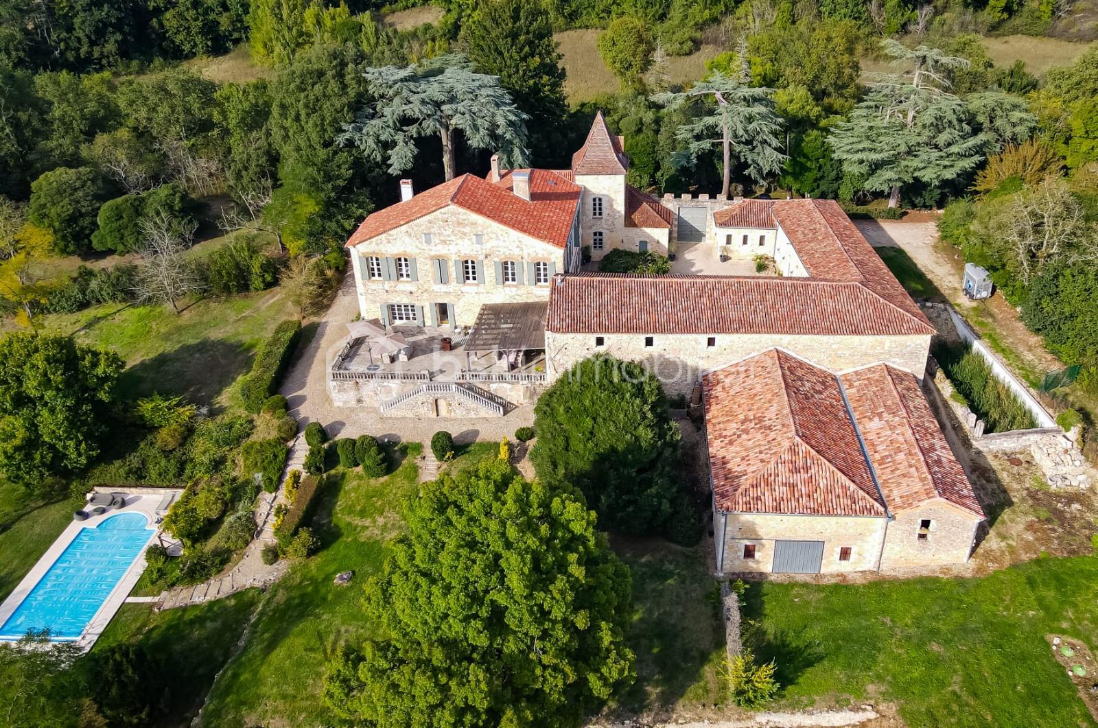 chateau_vente_gers_maison_de_famielle_belle_maison_condom_lectoure_gites  (4).jpeg