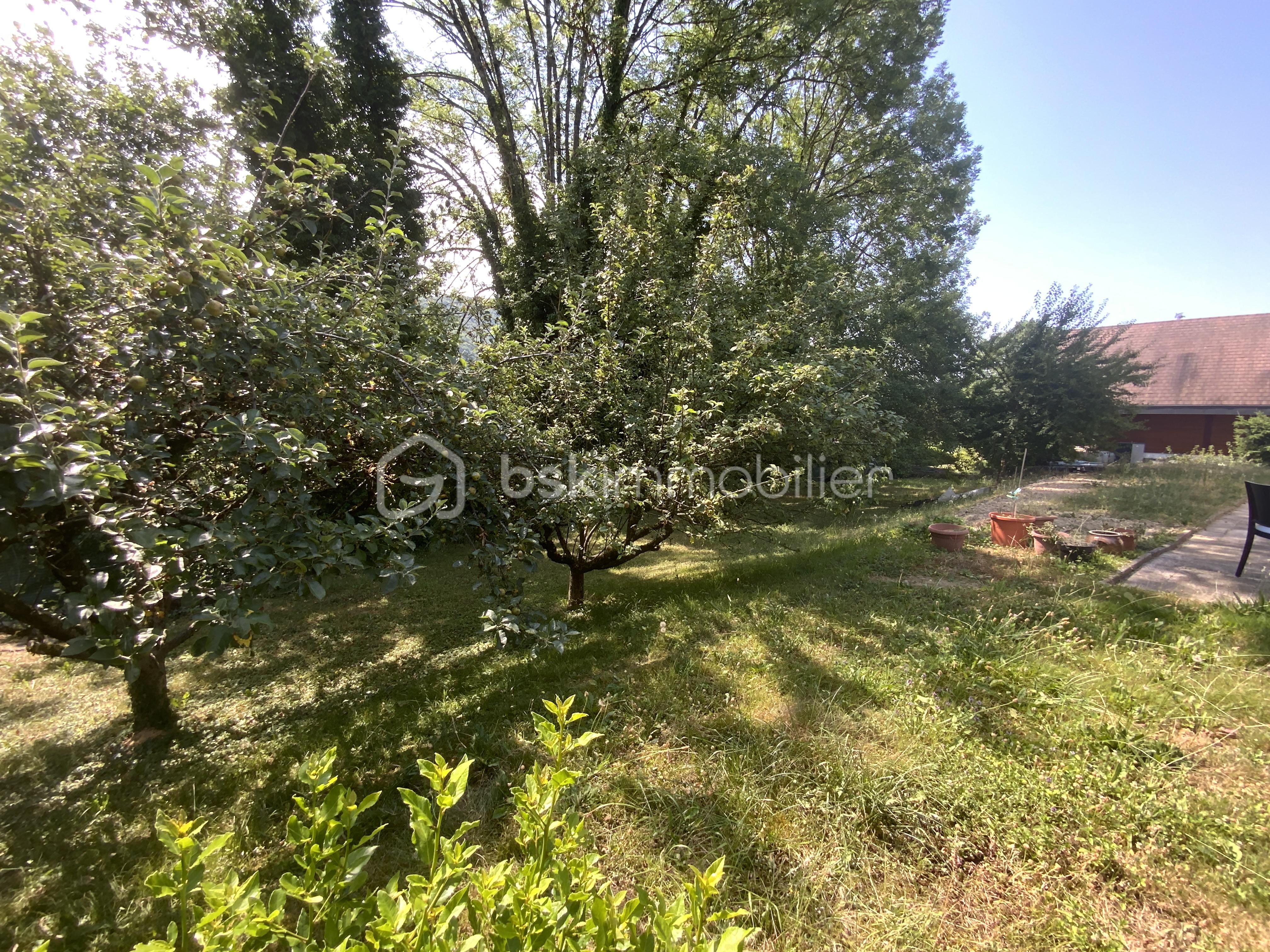 Maison de 133 m² - jardin coté terrasse.JPG