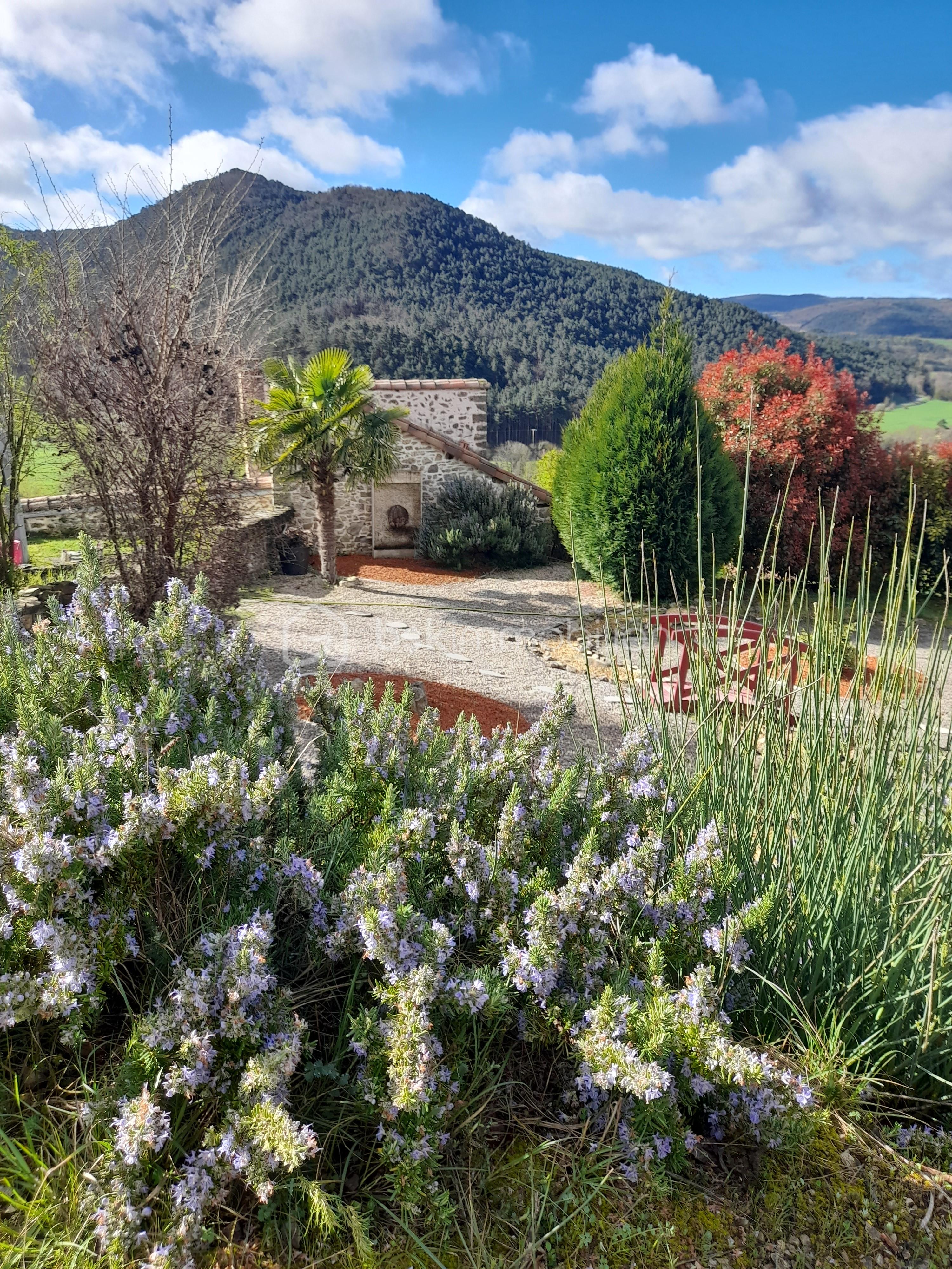 Domaine de 300 m² - farine photo 6.jpg