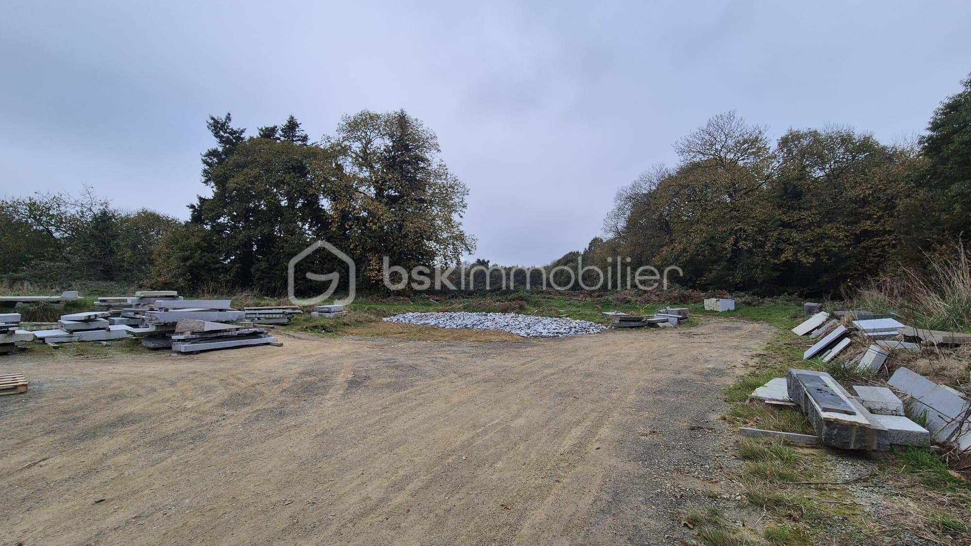 Local commercial de 820 m² - WhatsApp Image 2024-12-17 à 20.45.32_10b5f018.jpg