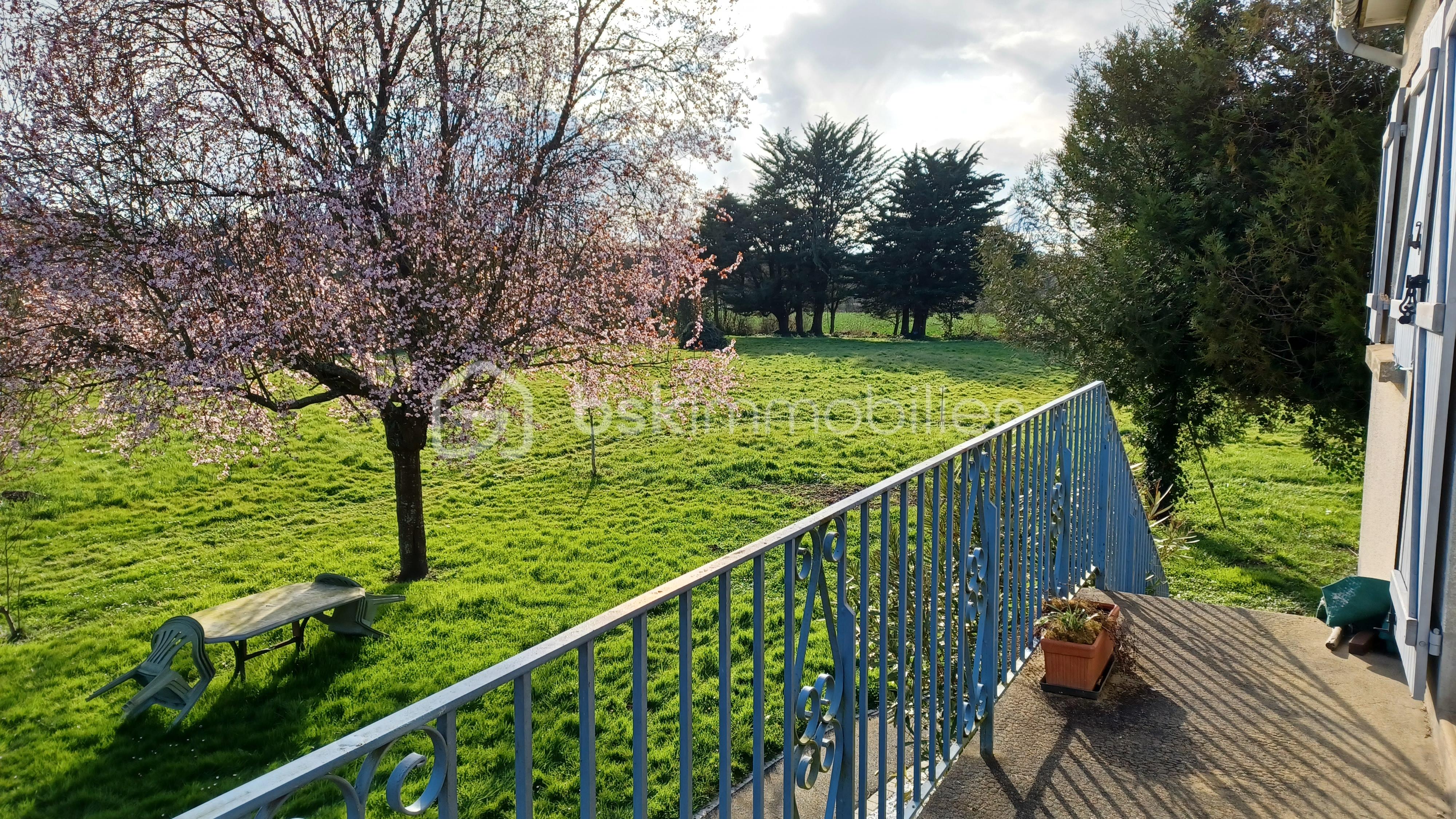 Maison de 145 m² - 20250313_170841.jpg