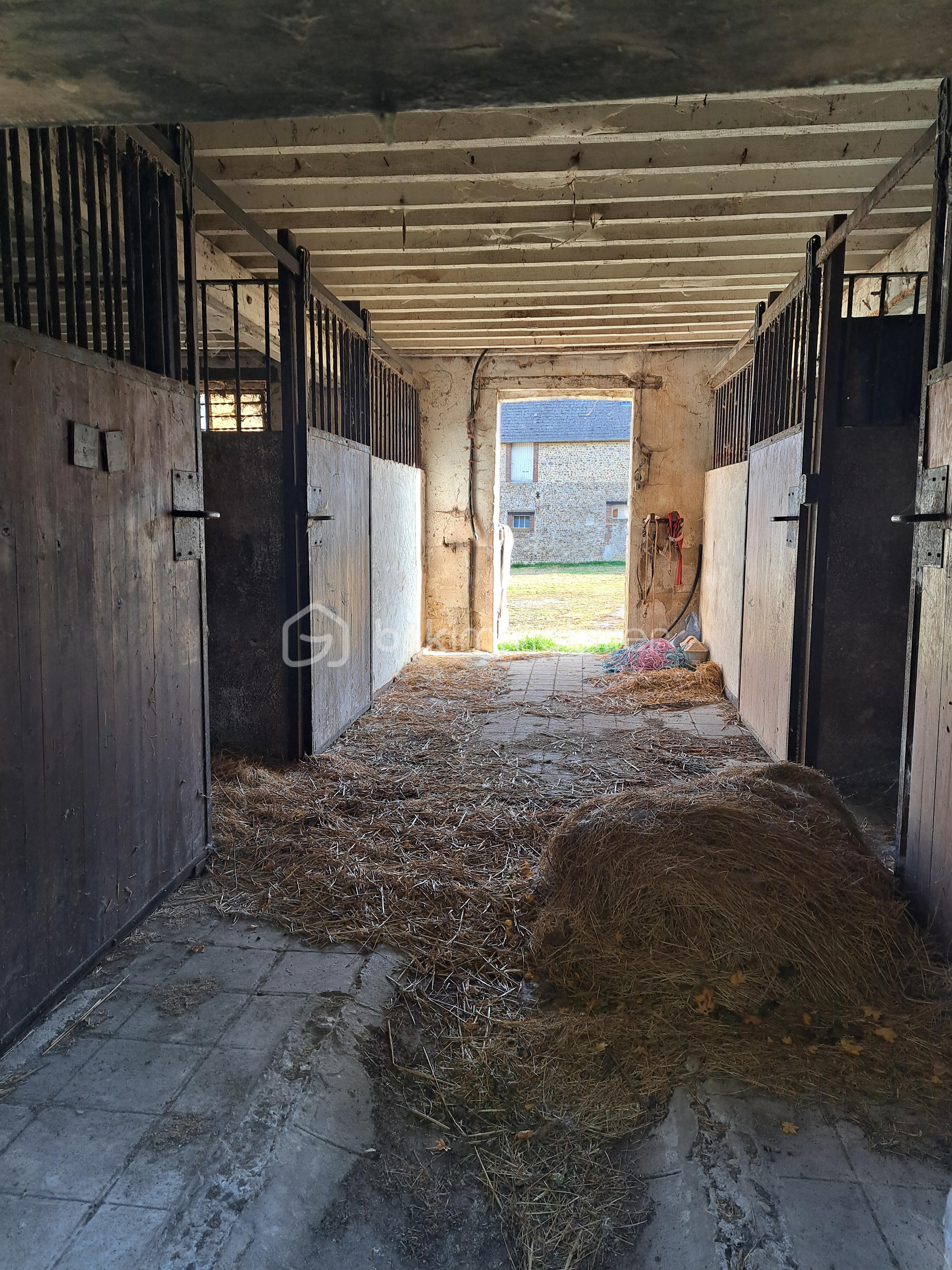 Corps de ferme de 144,02 m² - 20251014_103623.jpg
