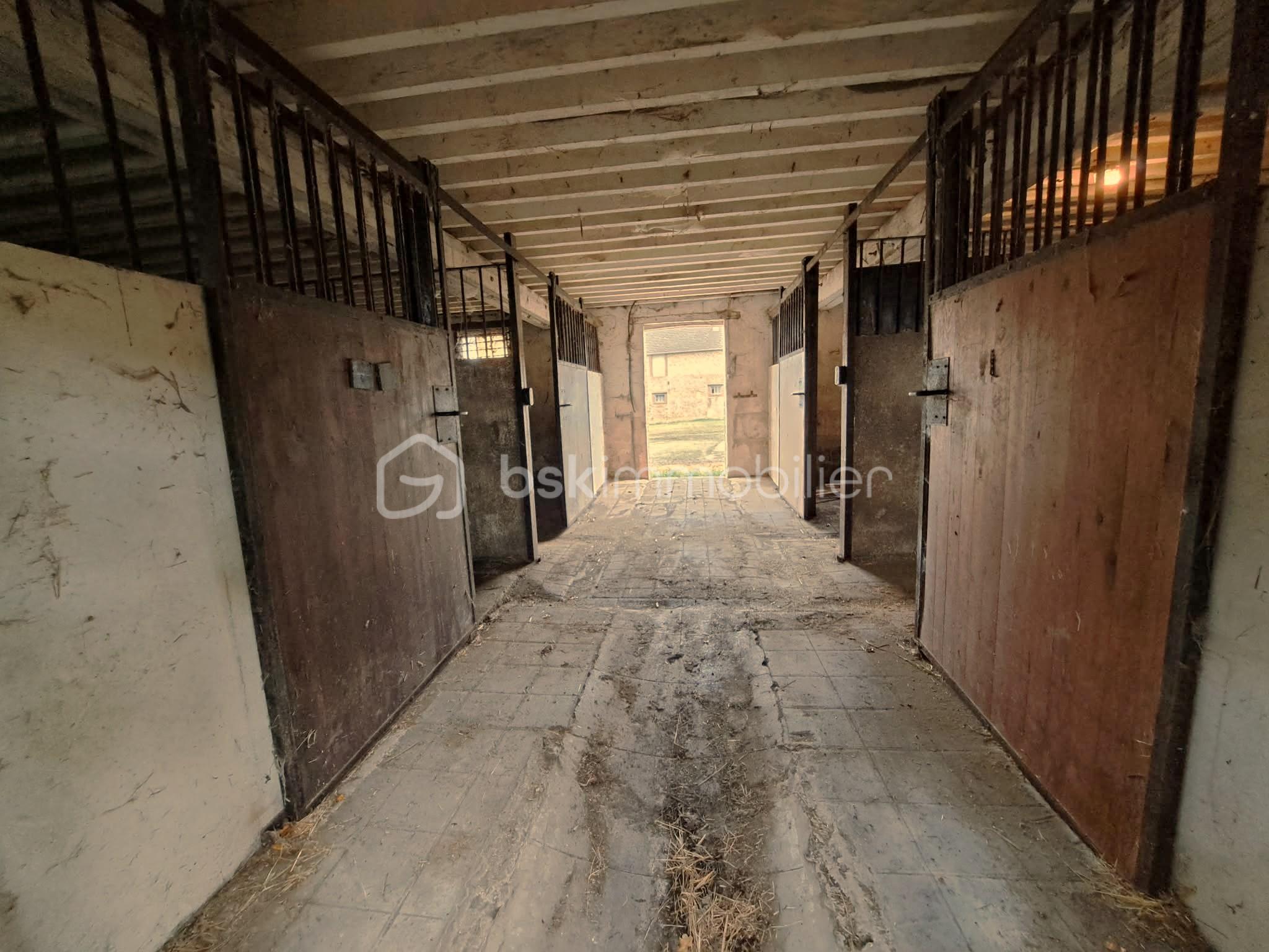 Corps de ferme de 144,02 m² - 445ce218-eb38-465f-9c7d-c686000de886.jpg