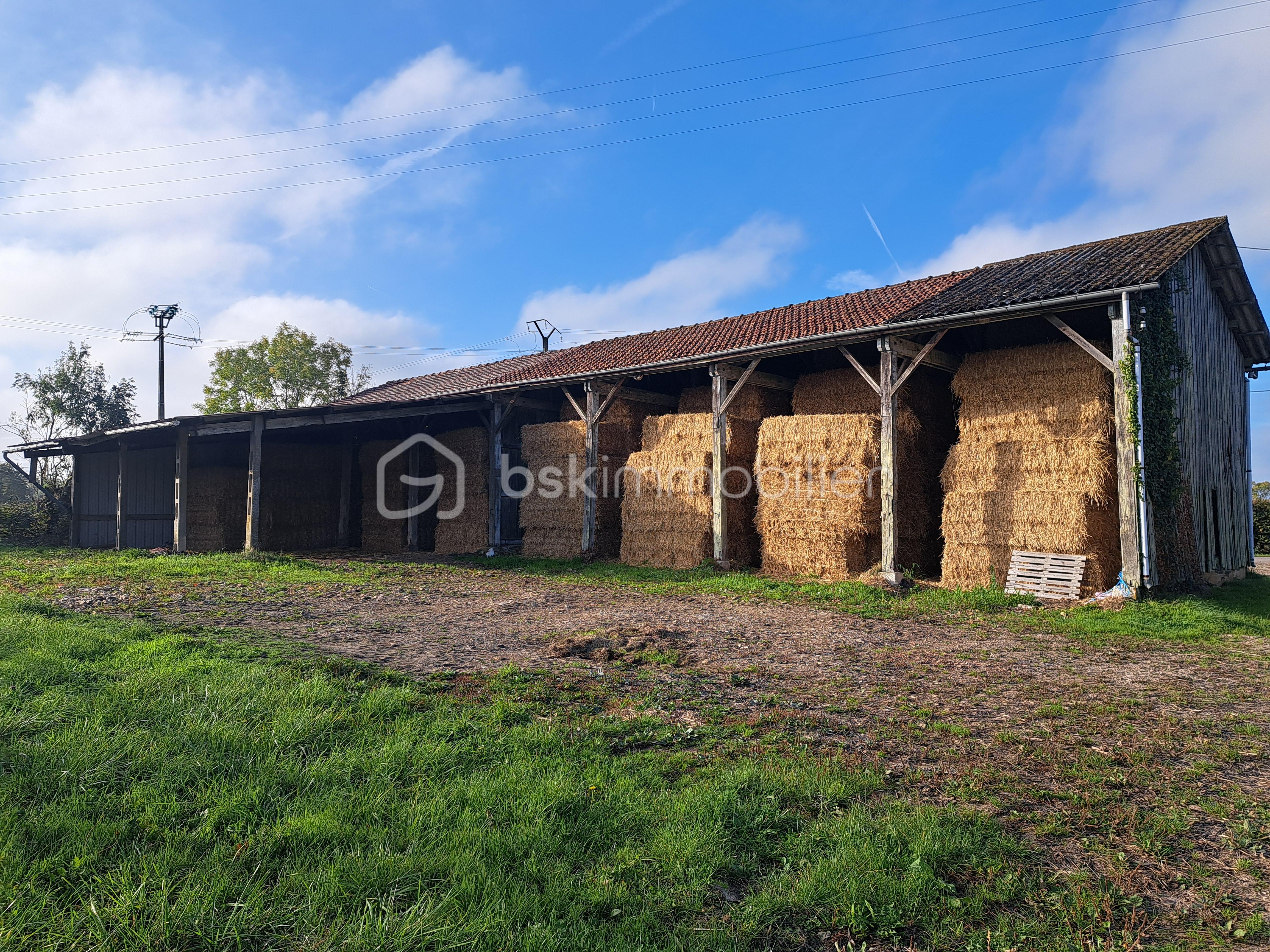 Corps de ferme de 144,02 m² - 20251014_102222.jpg