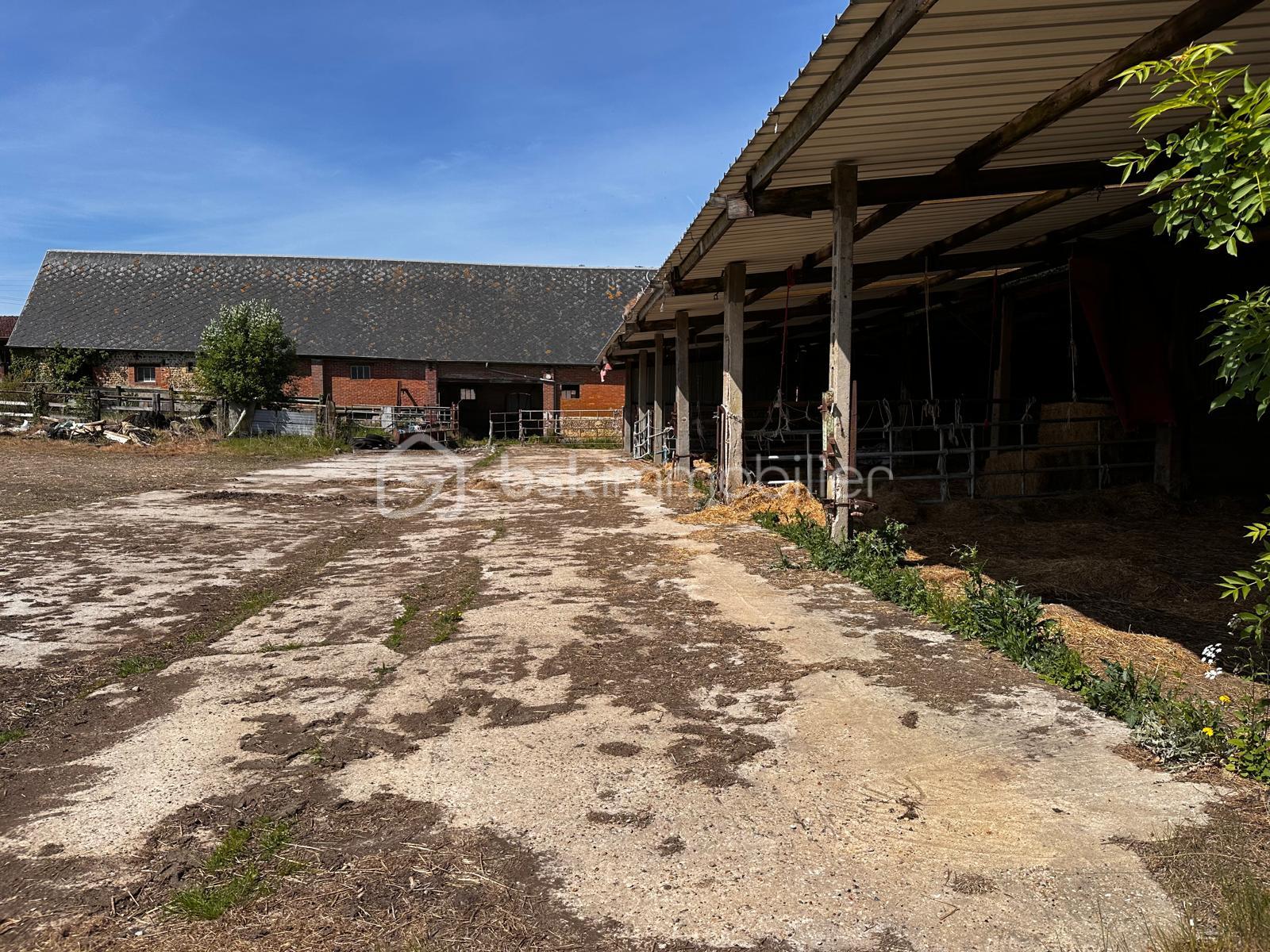 Corps de ferme de 144,02 m² - IMG-20250520-WA0094.jpg