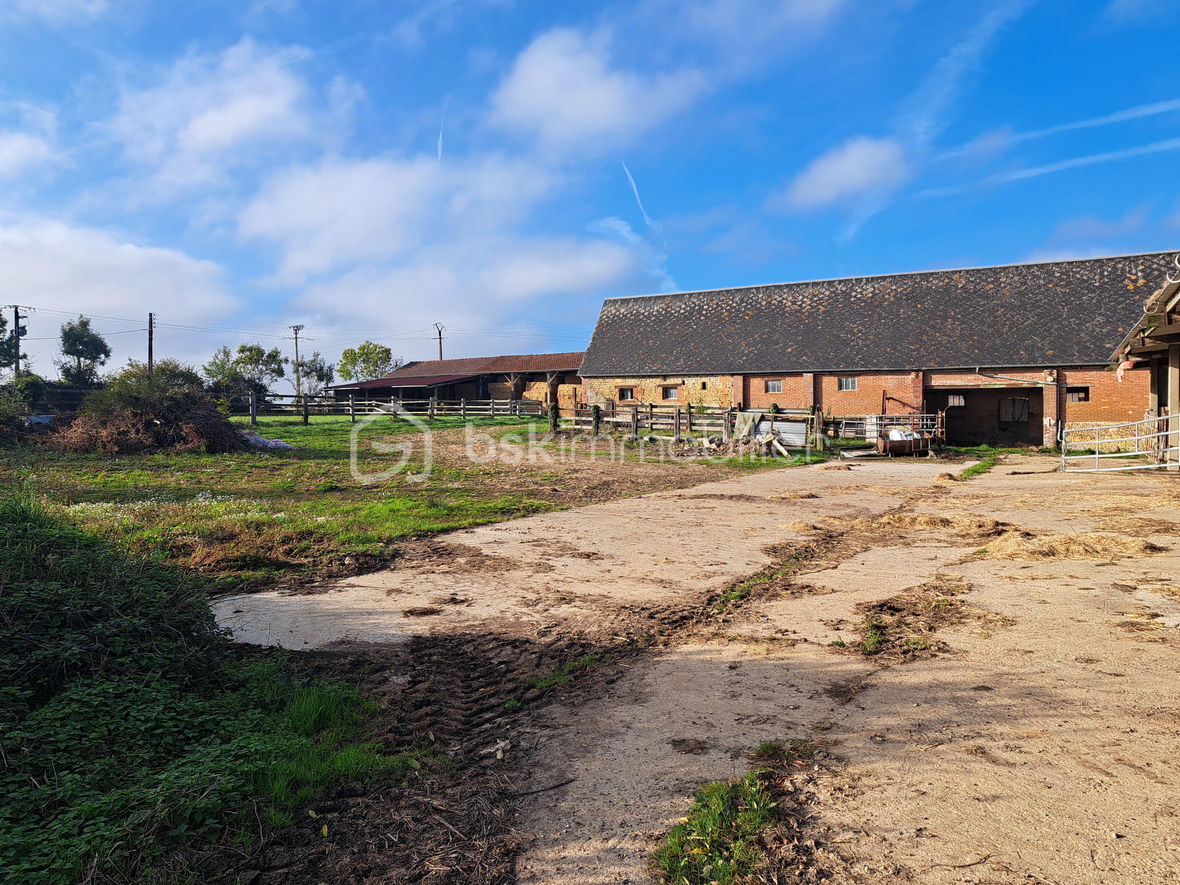 Corps de ferme de 144,02 m² - 20251014_102503.jpg