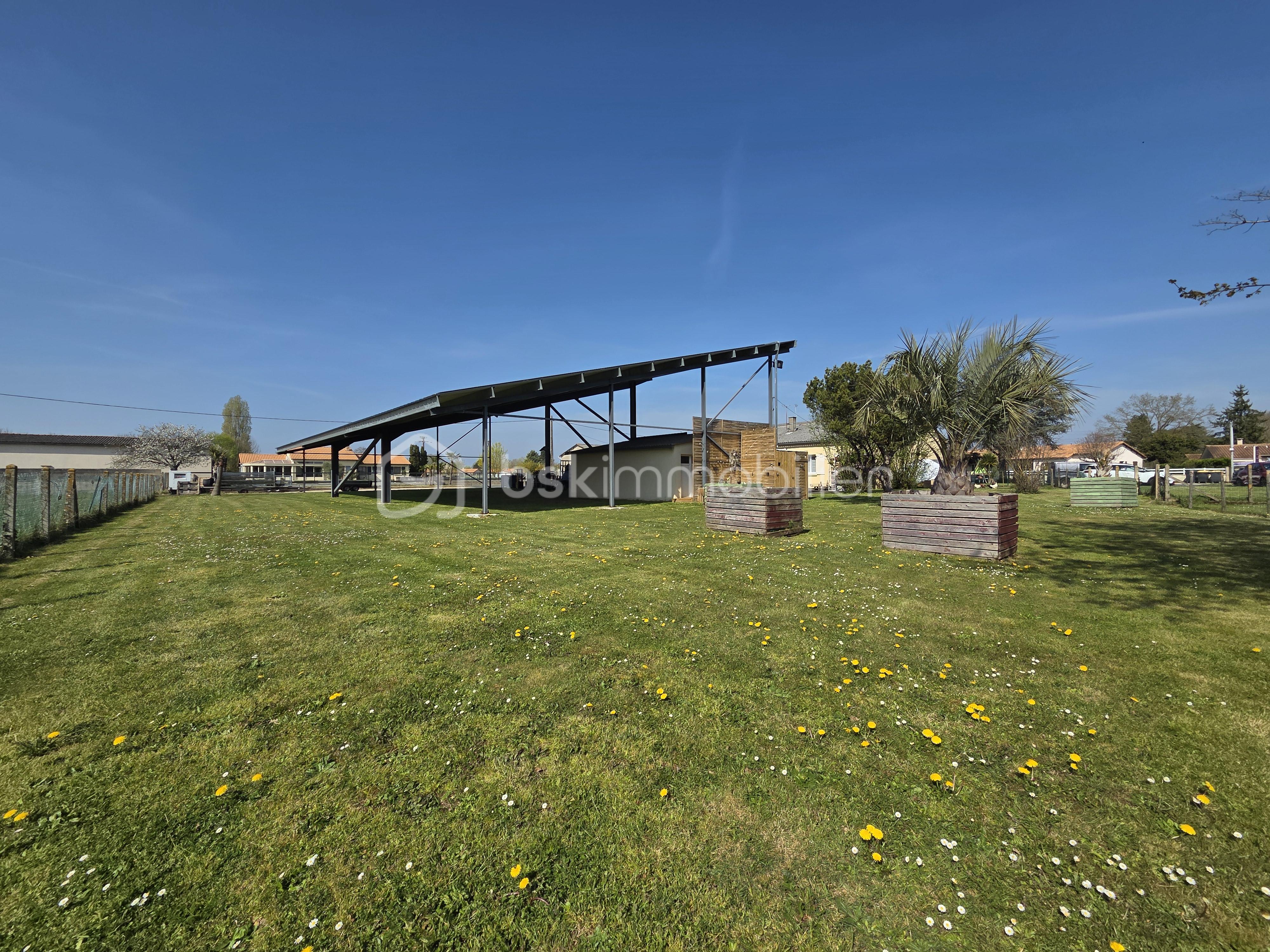 JARDIN 1.jpg