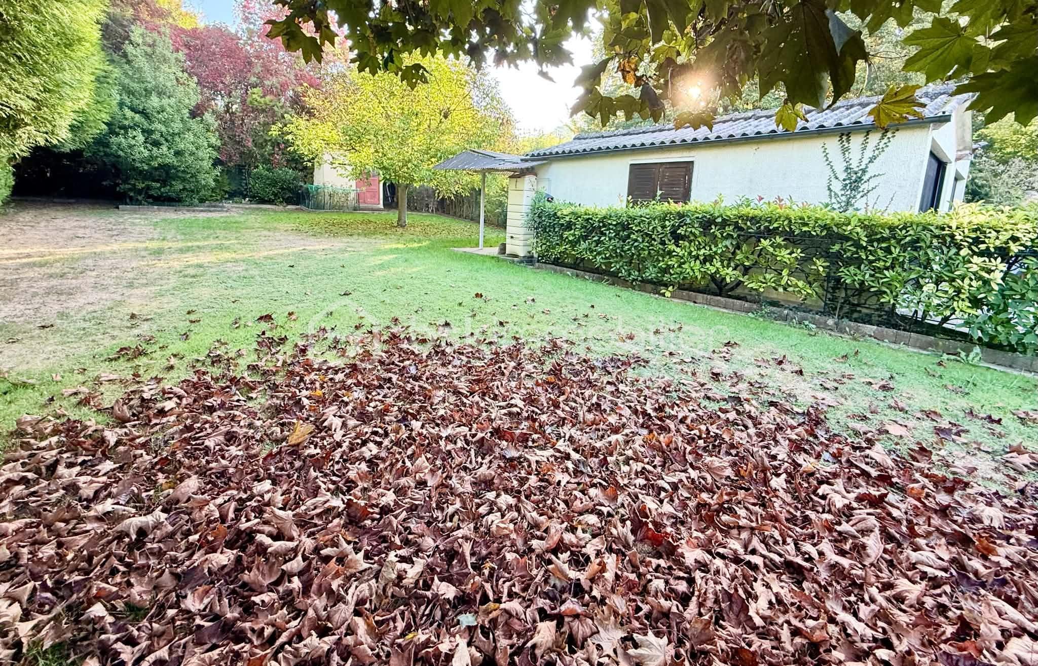 Jardin Derrière.jpg