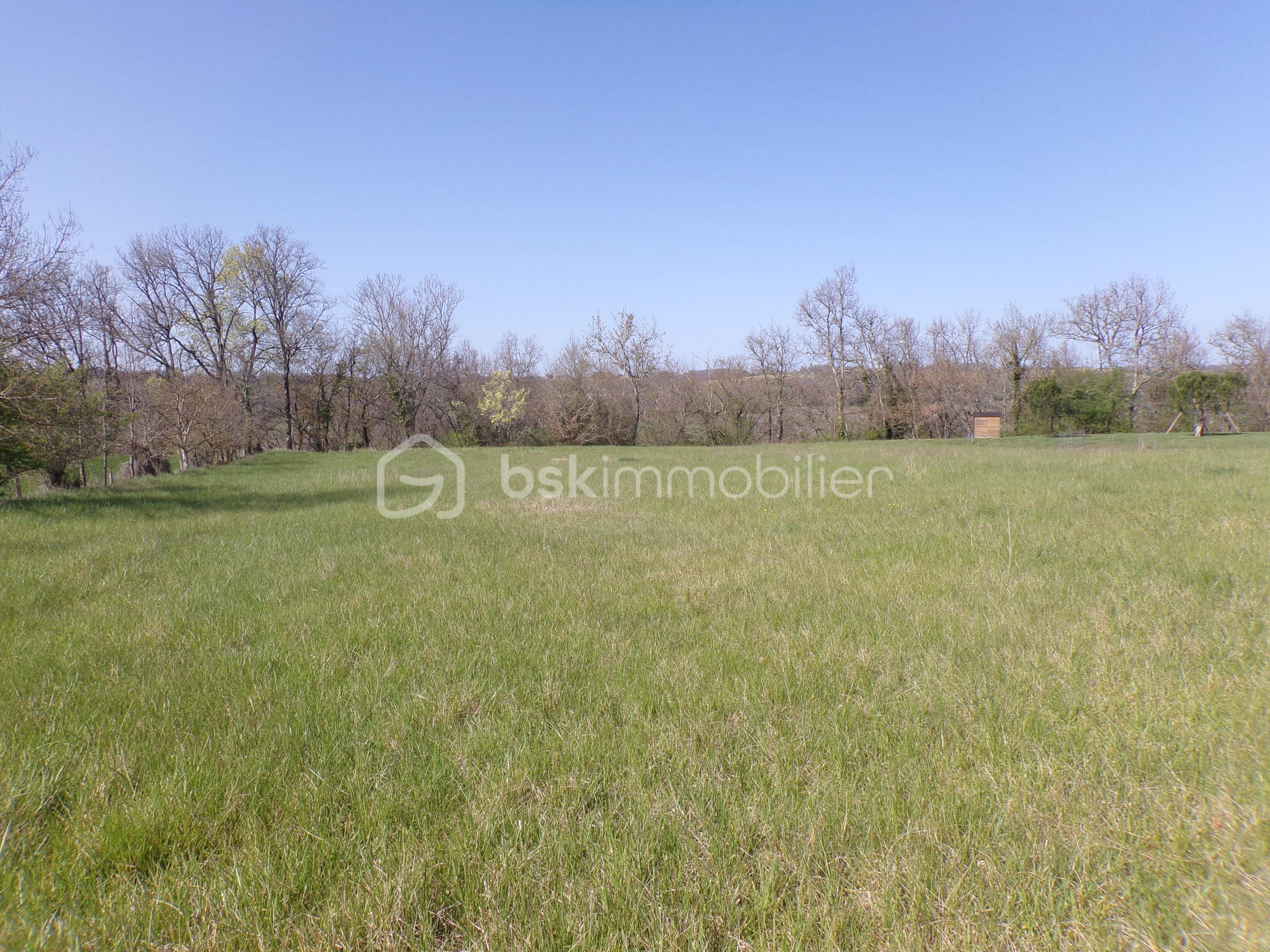 Terrain de 1 164 m² - 100_1753.JPG