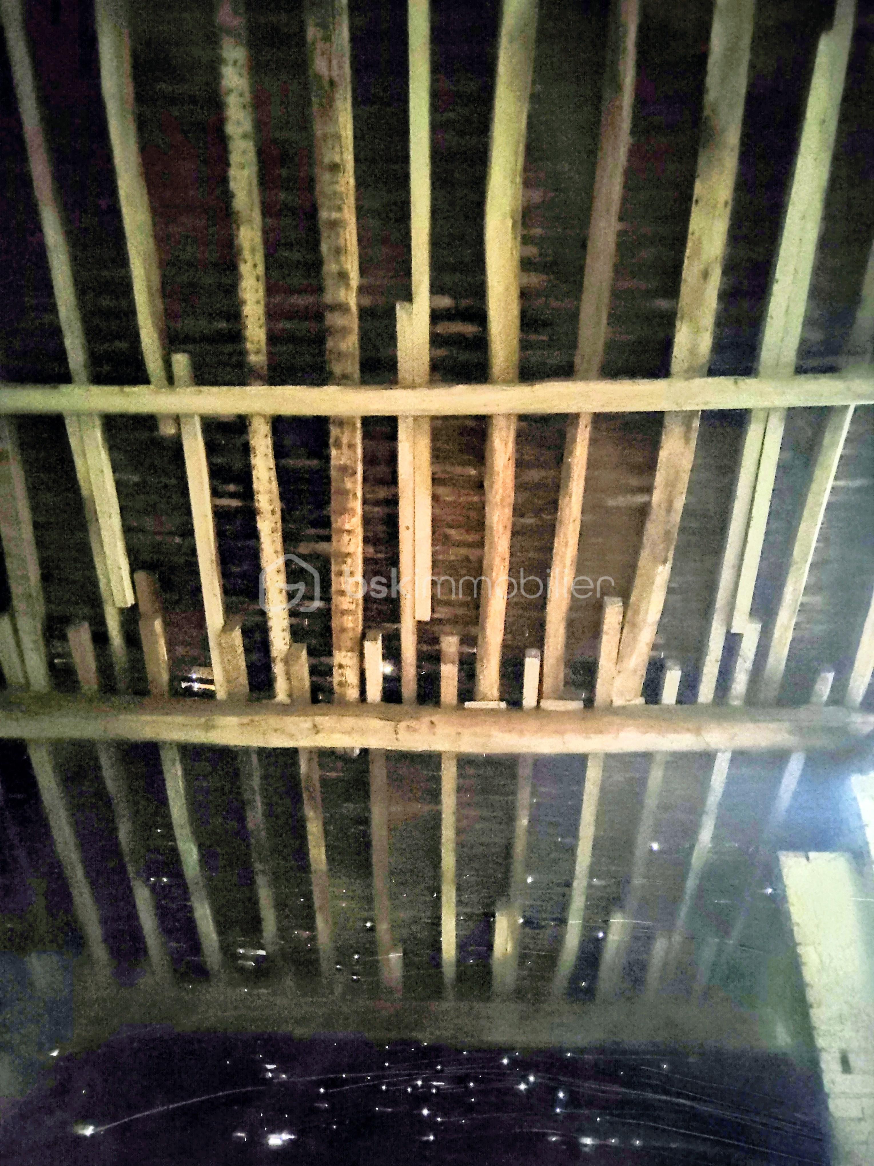 Maison de 60 m² - 1000045407.jpg