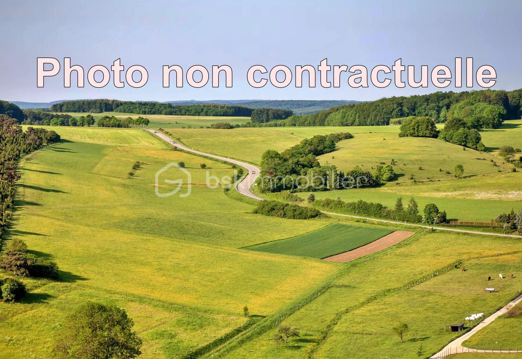 PHOTO TERRAIN LAMDA.jpg