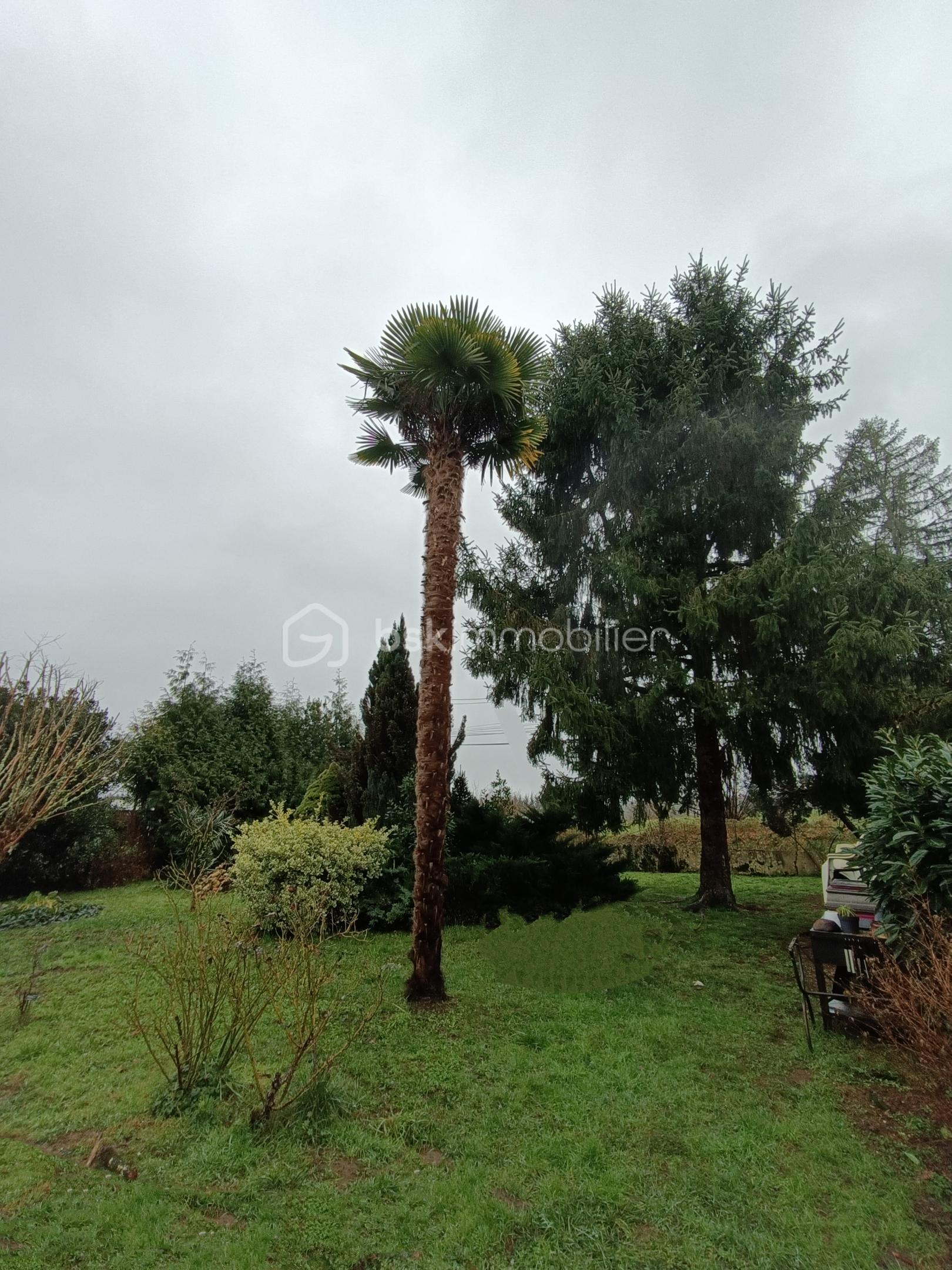 Maison de ville de 86 m² - 1000027808.jpg