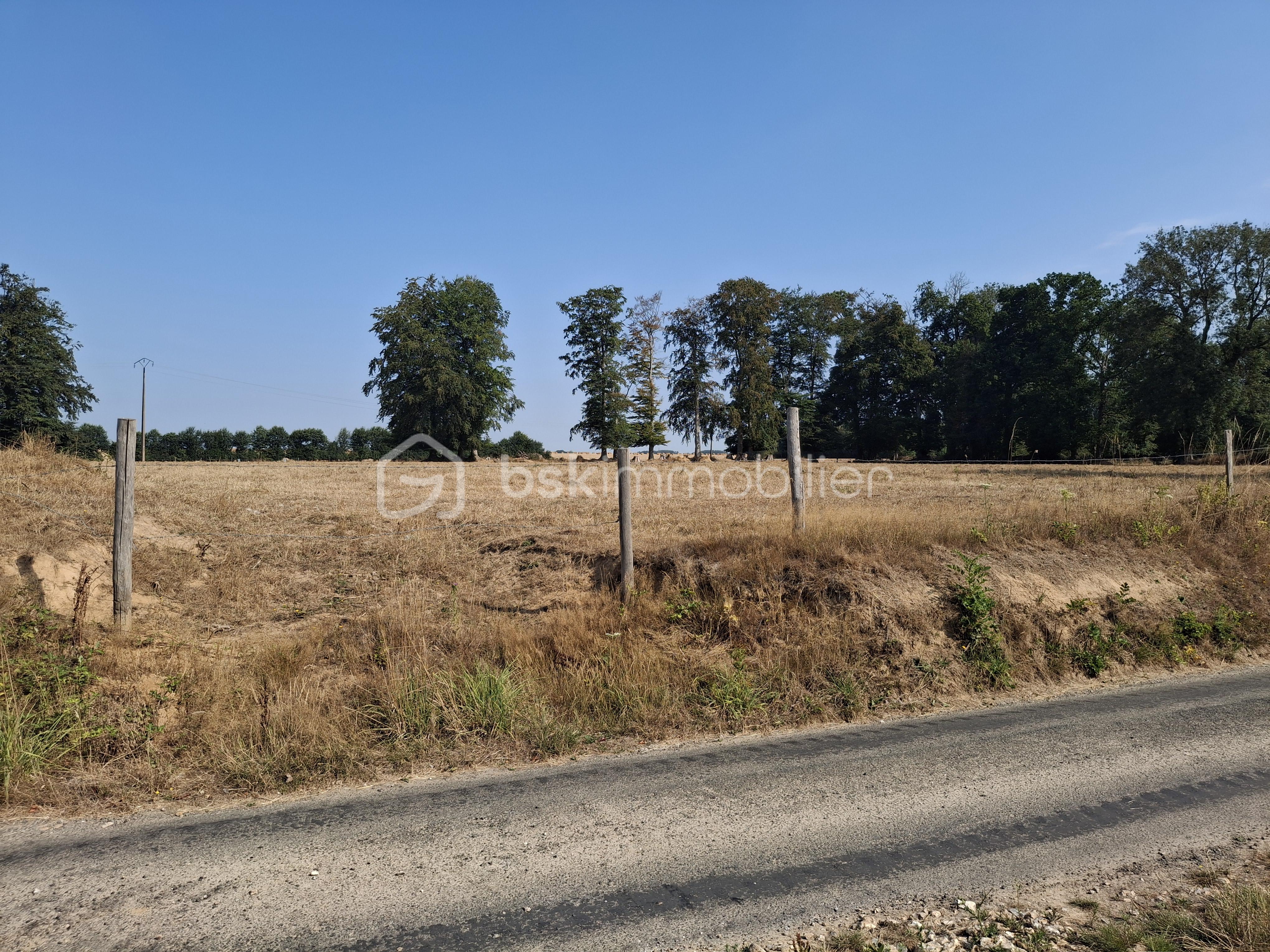 Vue sur champs Paysage.png