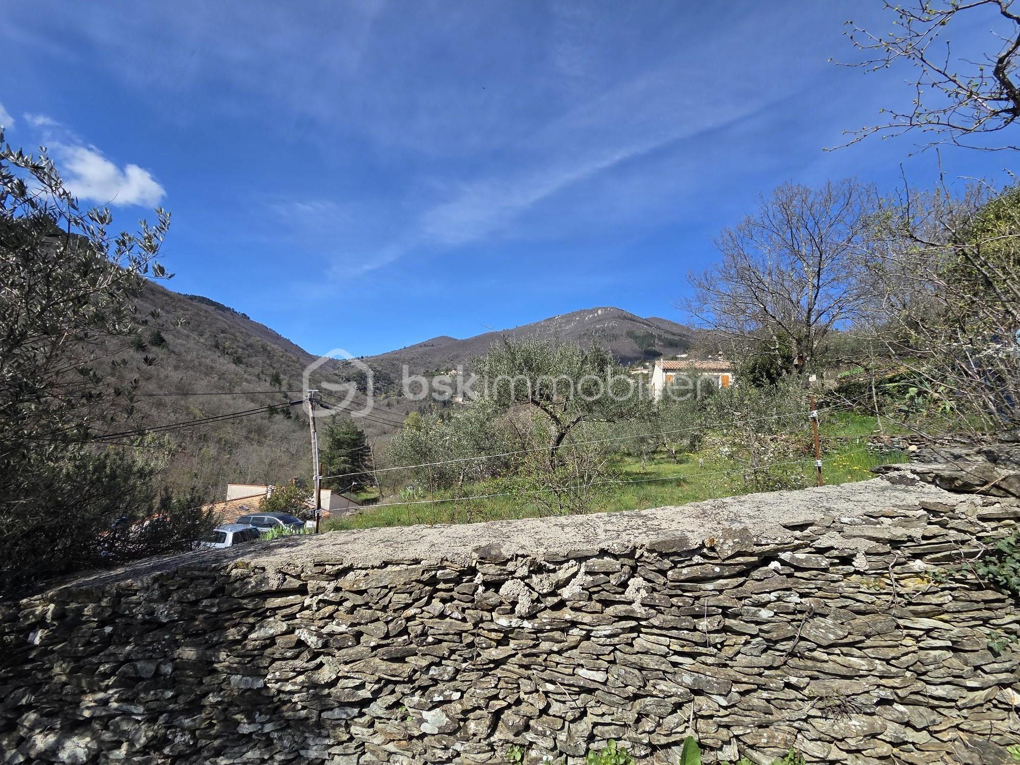 mur de cloture au fond du terrain.jpg