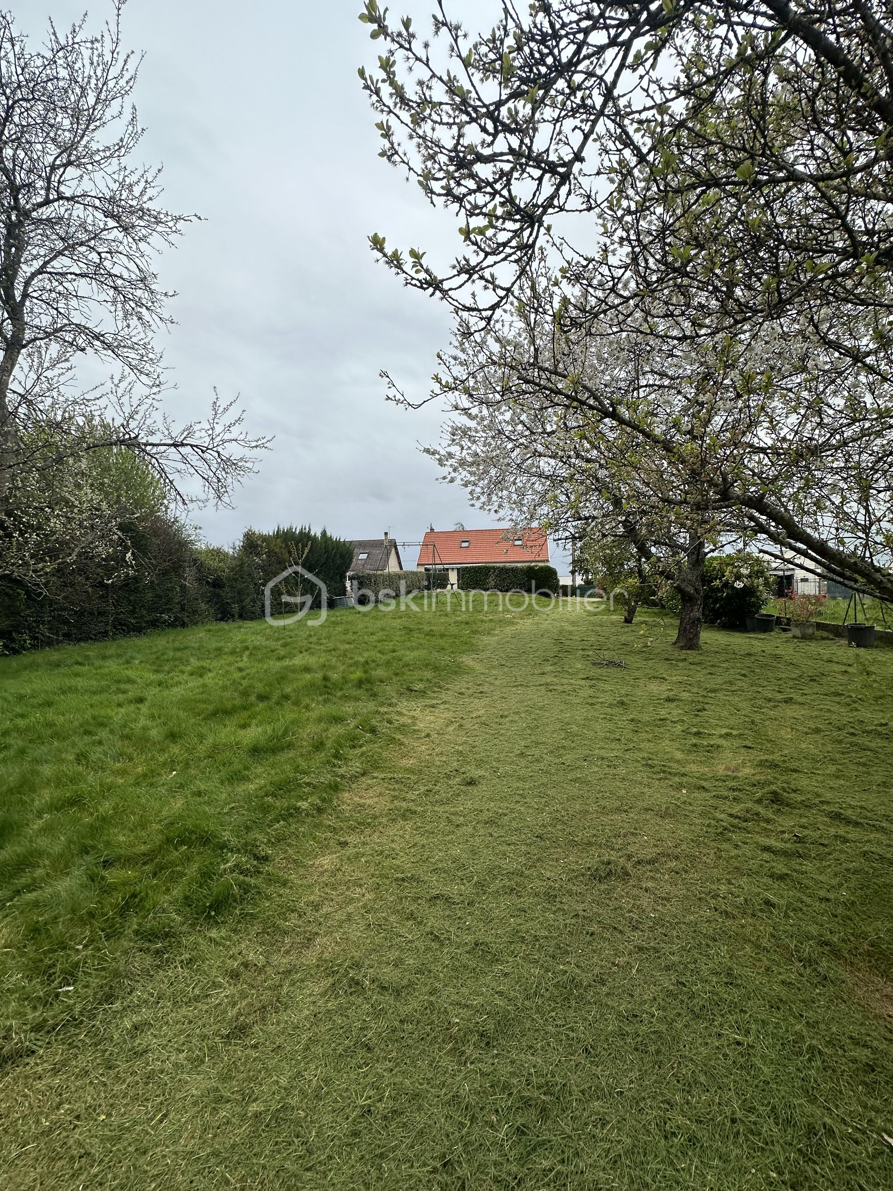 IMG_9607.jpeg