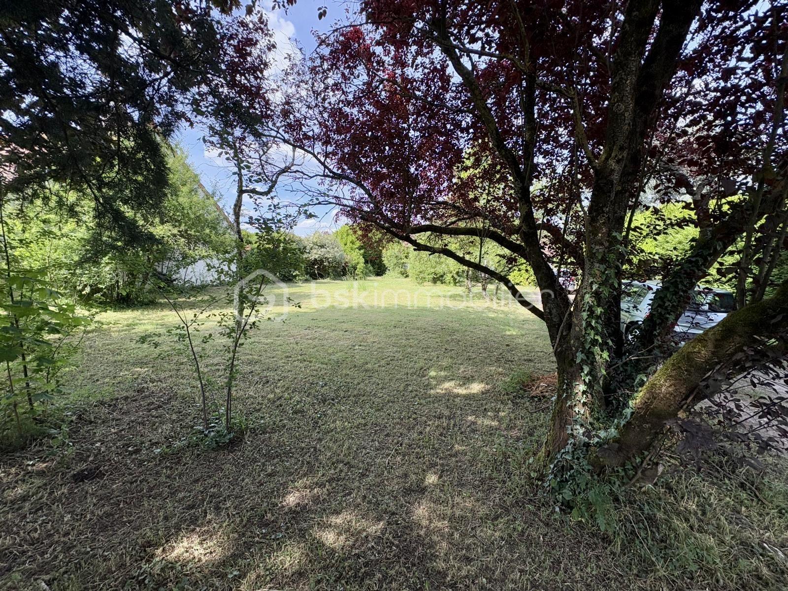 Lotissement de 418 m² - c2996d12-a828-431a-8e3e-b4748fd23678.jpeg