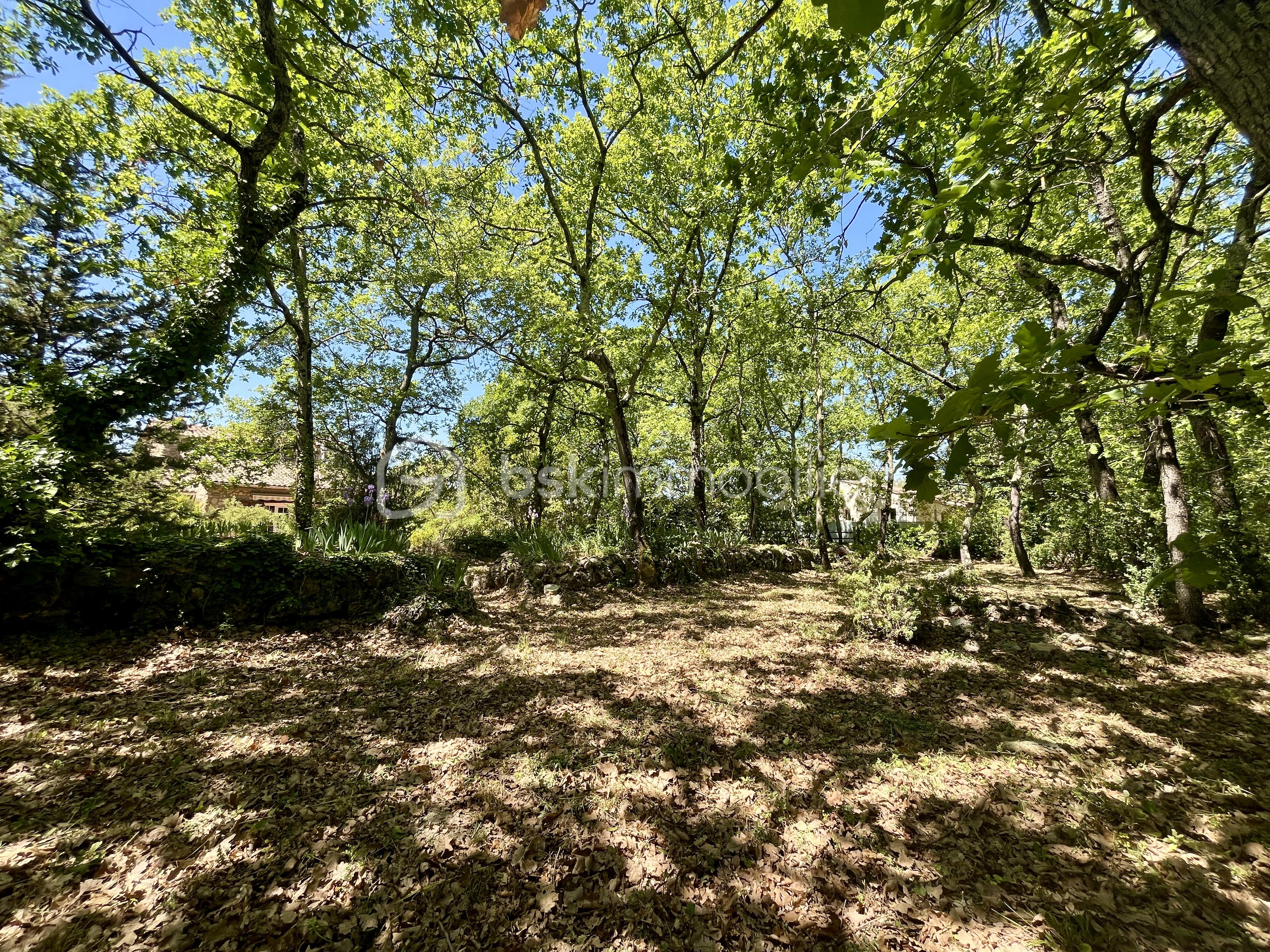 Jardin Nord.jpg