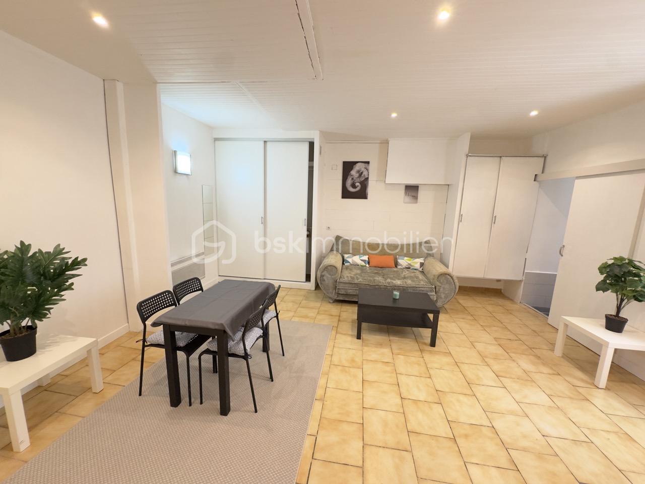 Appartement de 36,56 m² - IMG_2813 - Grande.jpeg