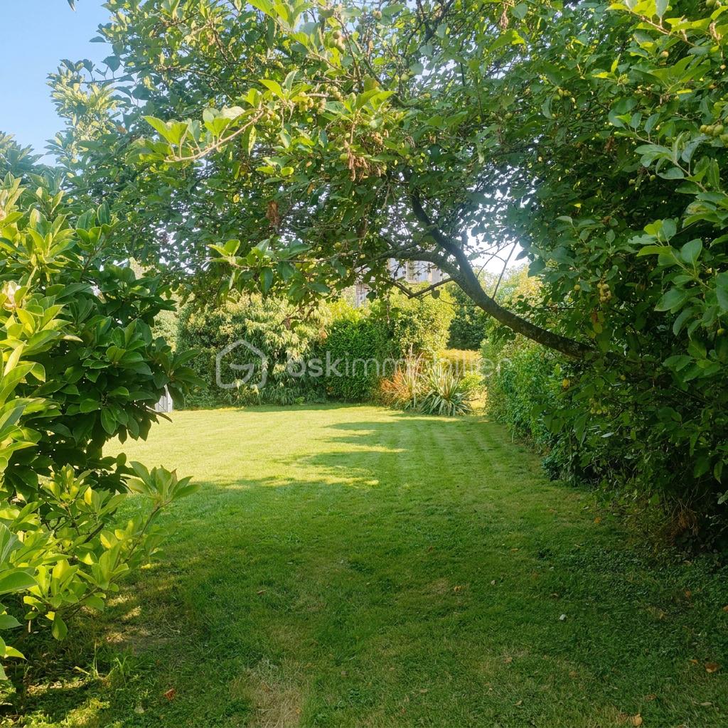 Vue avec le grand arbre.png