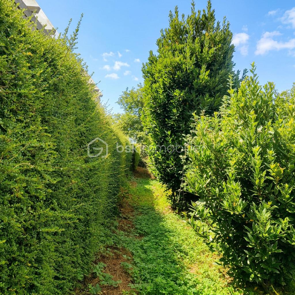 La double haie - le passage.png