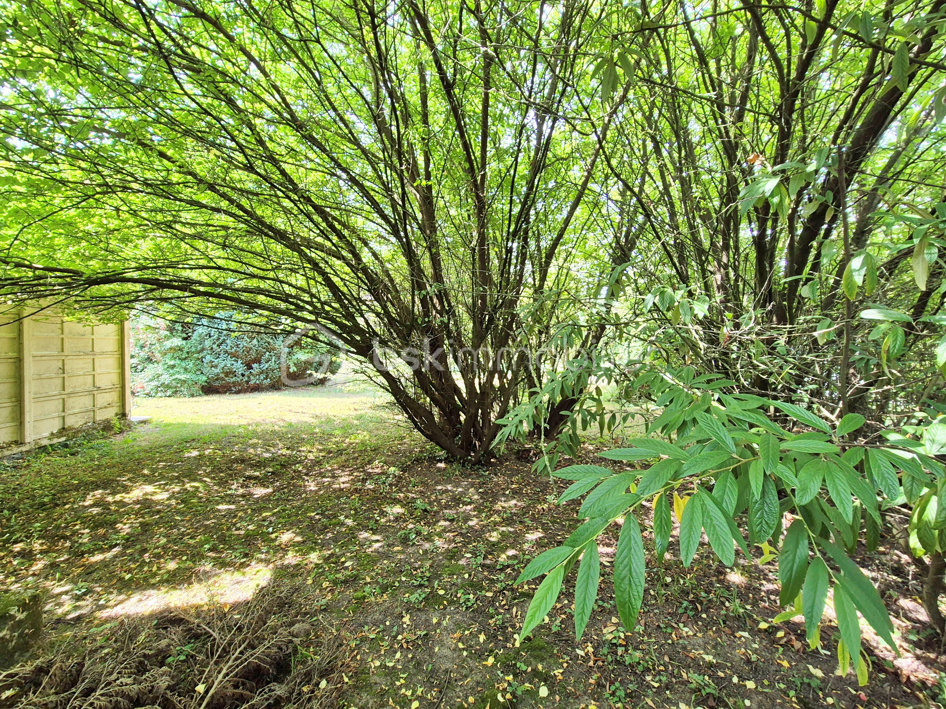 Maison de 84 m² - Jardin 1 retouché.jpg