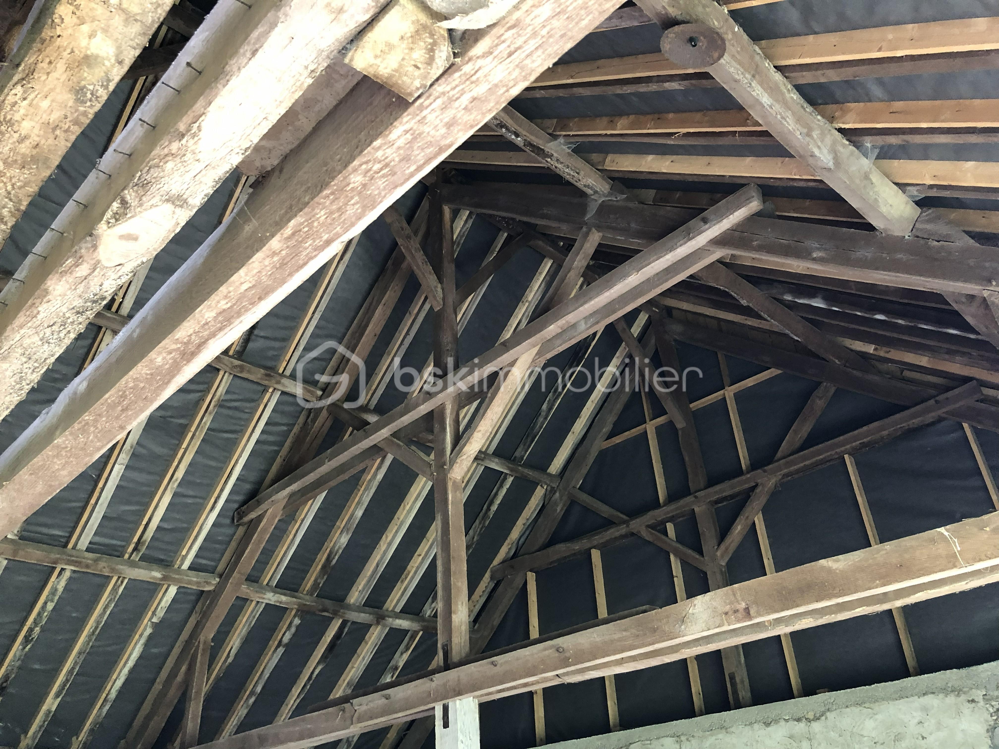 IMG_0228 - Copie.jpeg