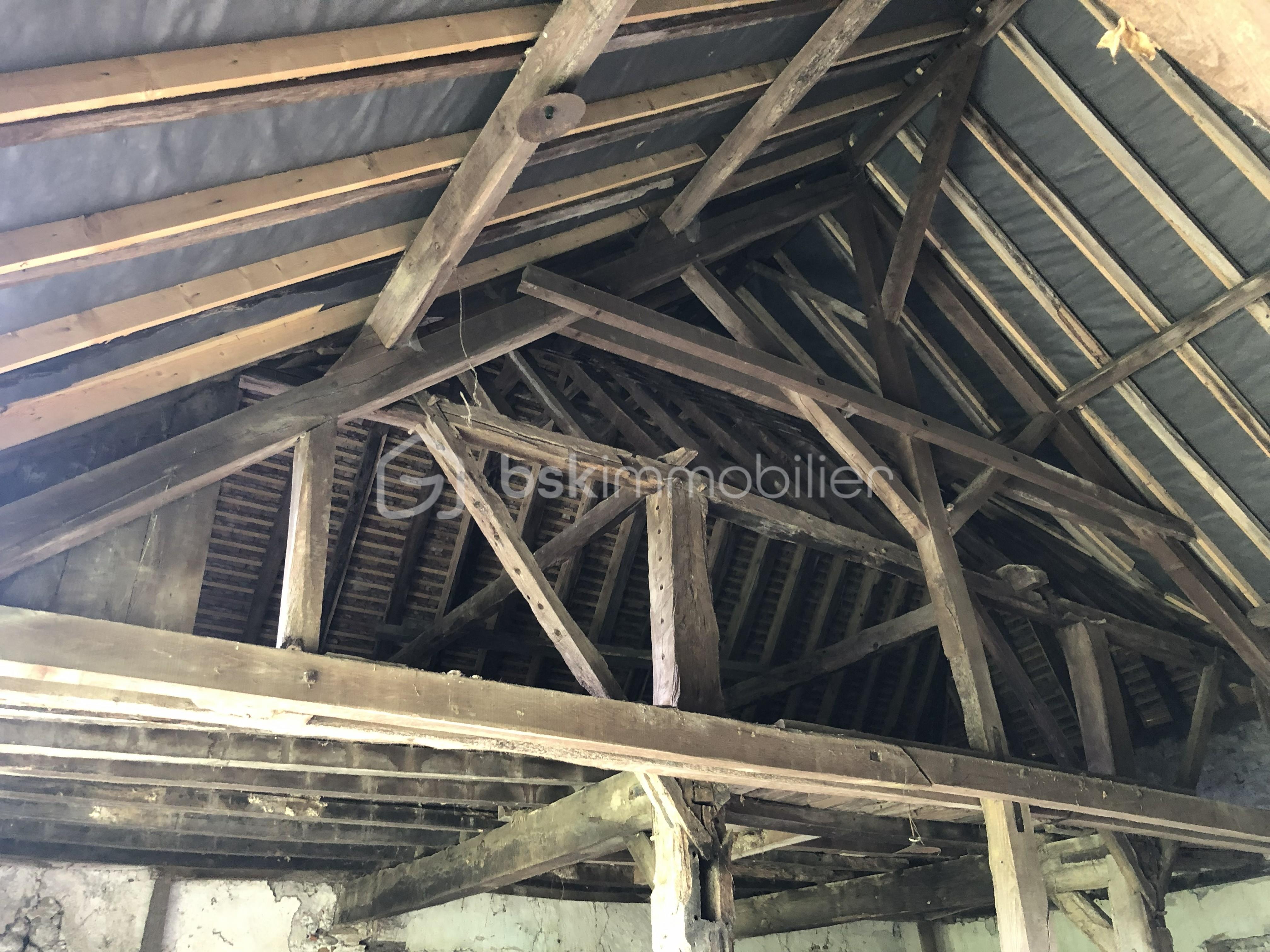 IMG_0229 - Copie.jpeg