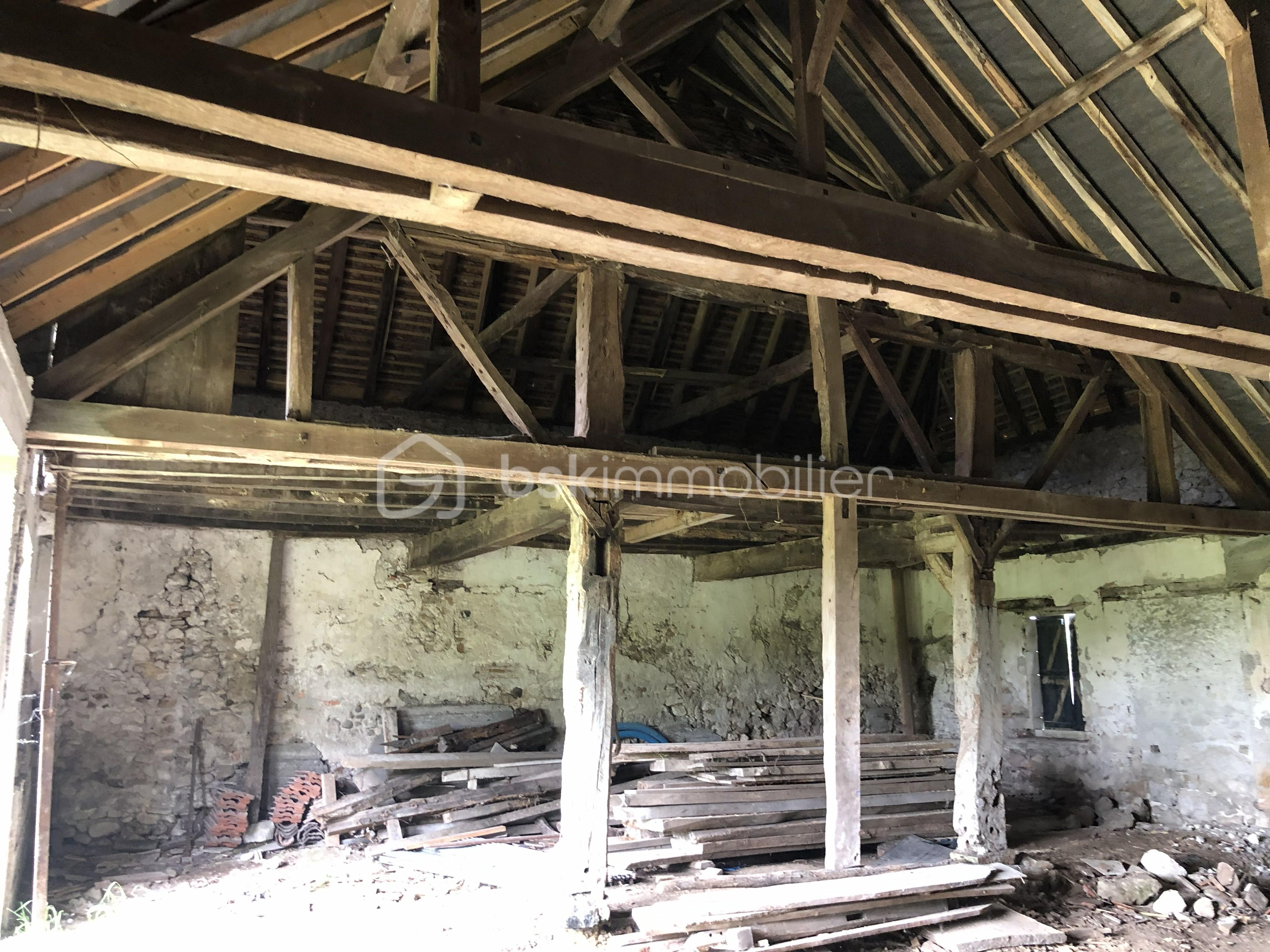 IMG_0230 - Copie.jpeg