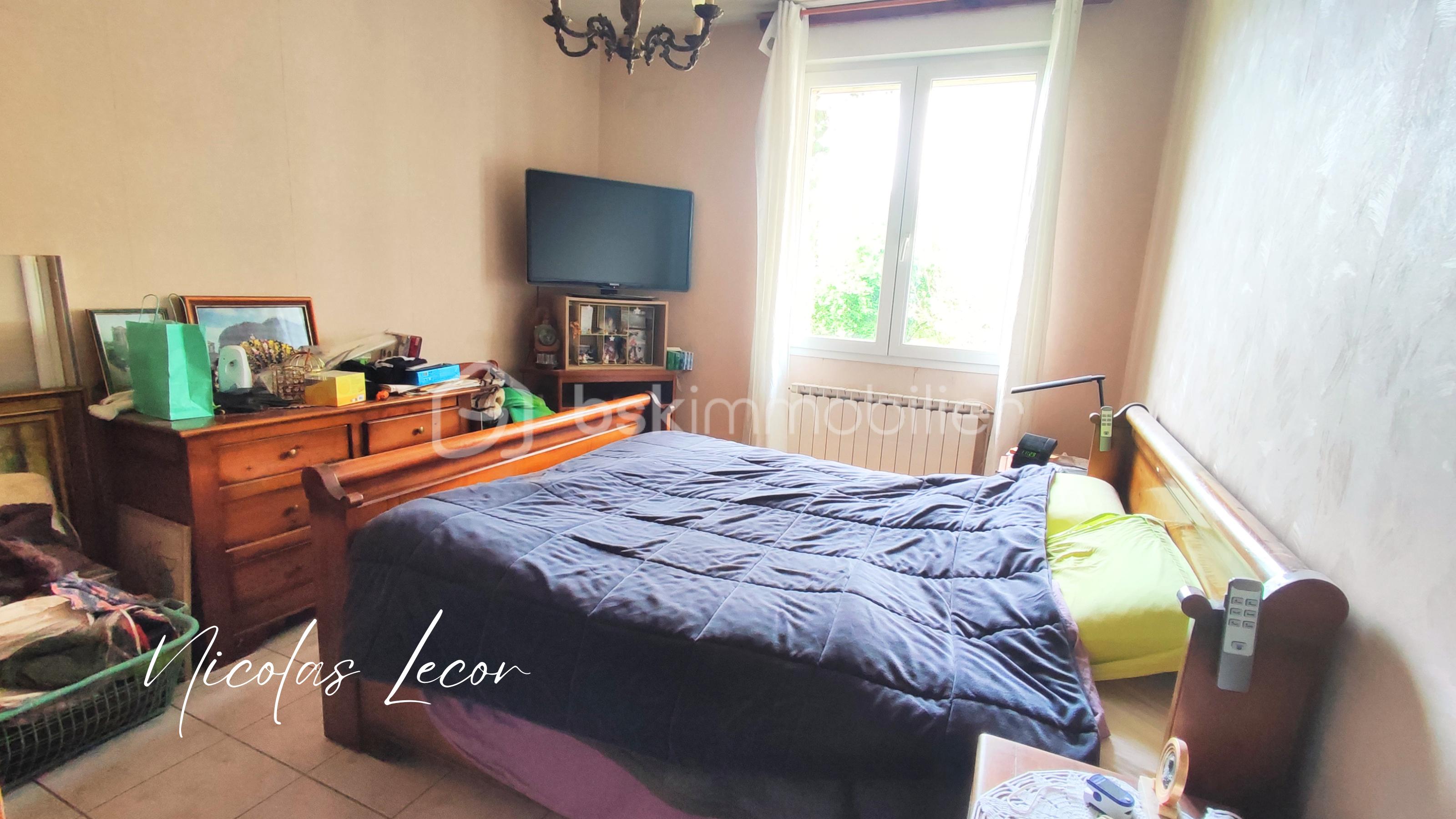 Nicolas Lecor (1).png