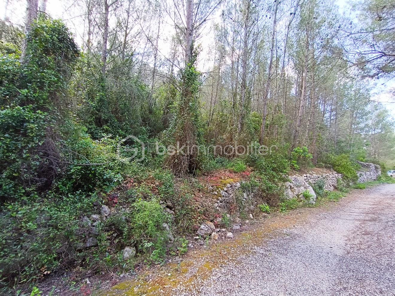 Terrain de 5 230 m² - IMG_20250523_105309.jpg