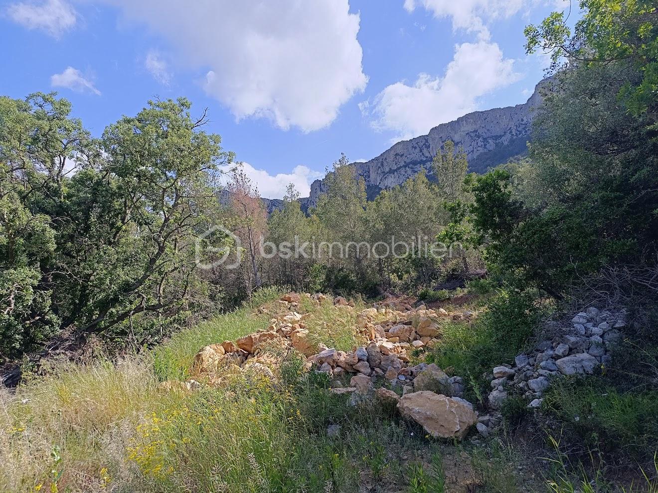 Terrain de 5 230 m² - IMG_20250523_104647.jpg