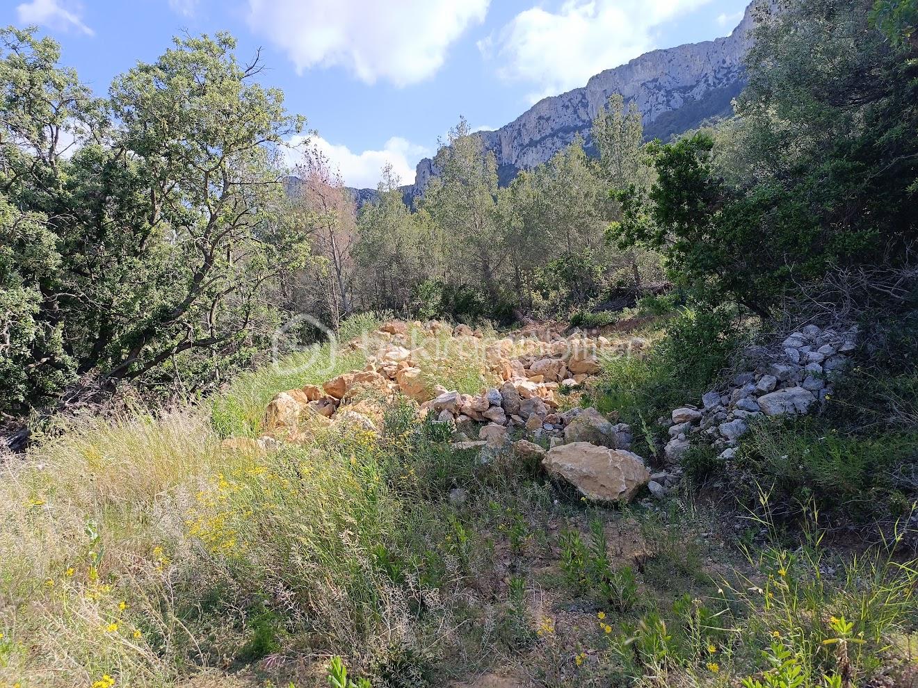 Terrain de 5 230 m² - IMG_20250523_104645.jpg