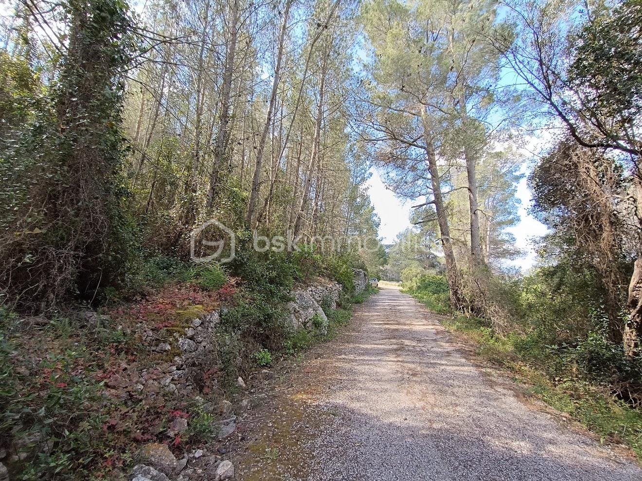 Terrain de 5 230 m² - IMG_20250523_105317.jpg