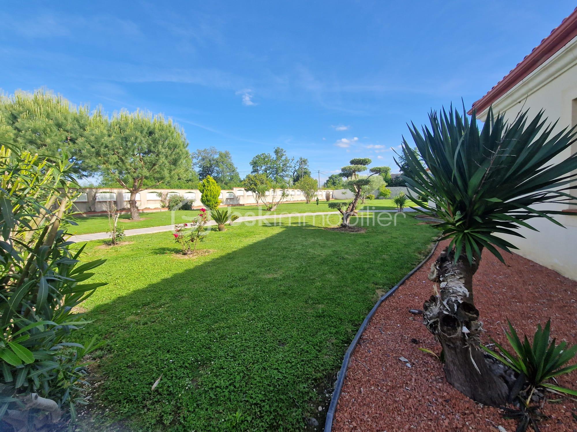 WhatsApp Image 2026-03-23 at 21.08.31.jpeg