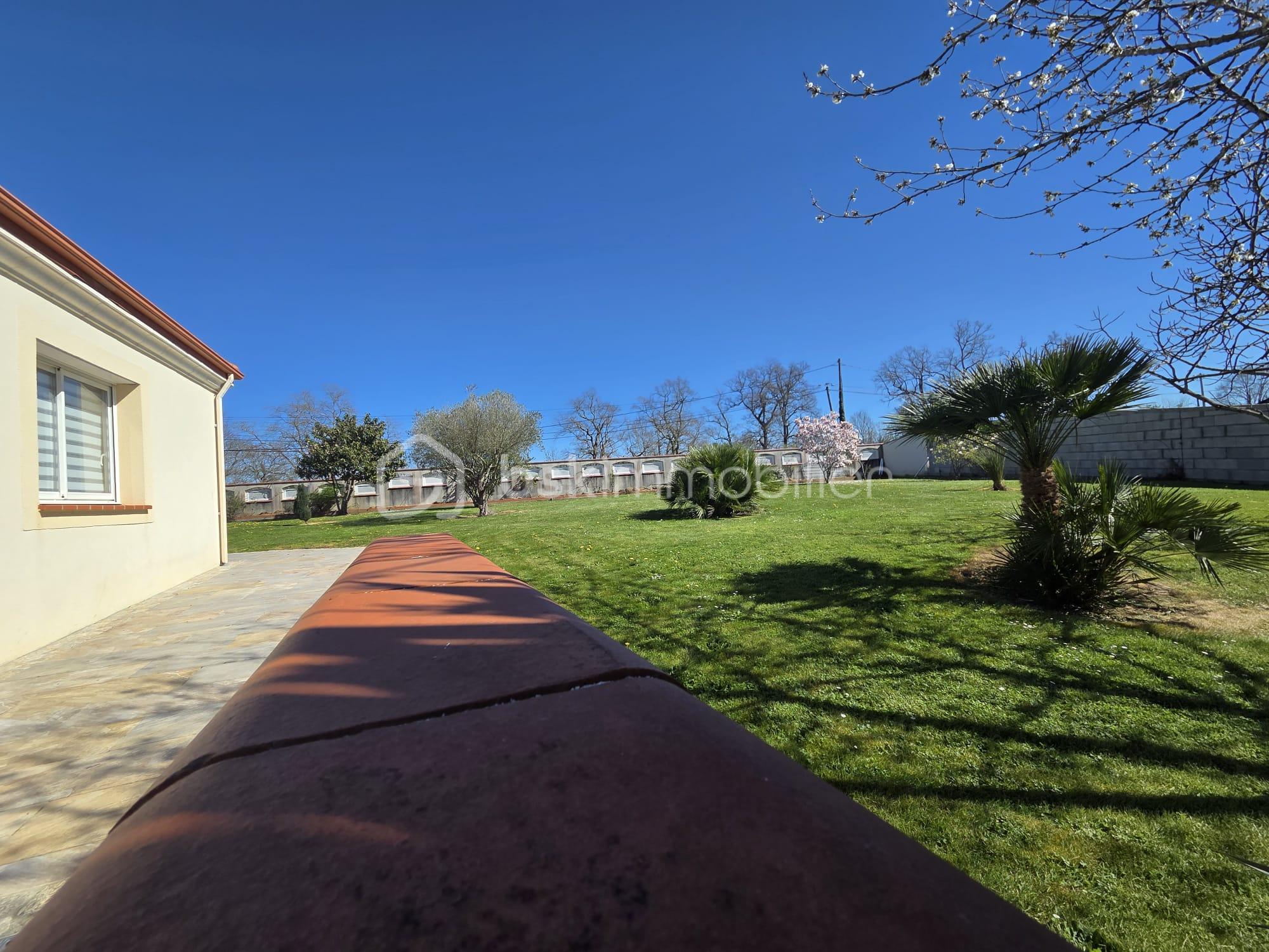 WhatsApp Image 2026-03-23 at 21.08.31 (8).jpeg