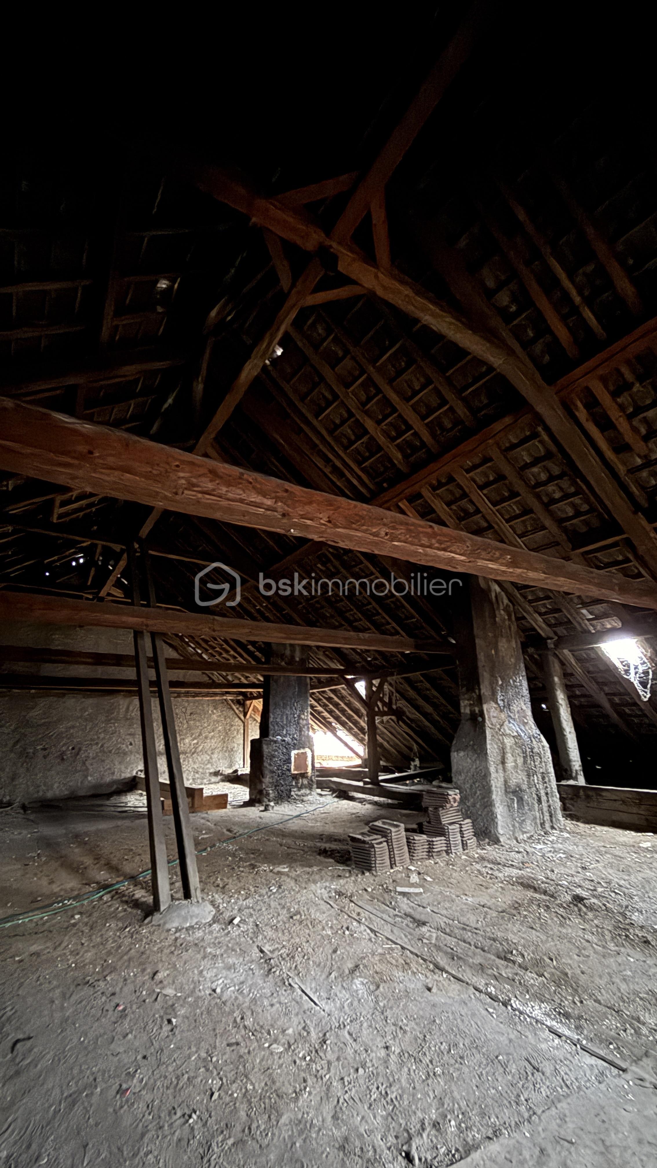 Appartement de 285 m² - IMG_1233.jpeg