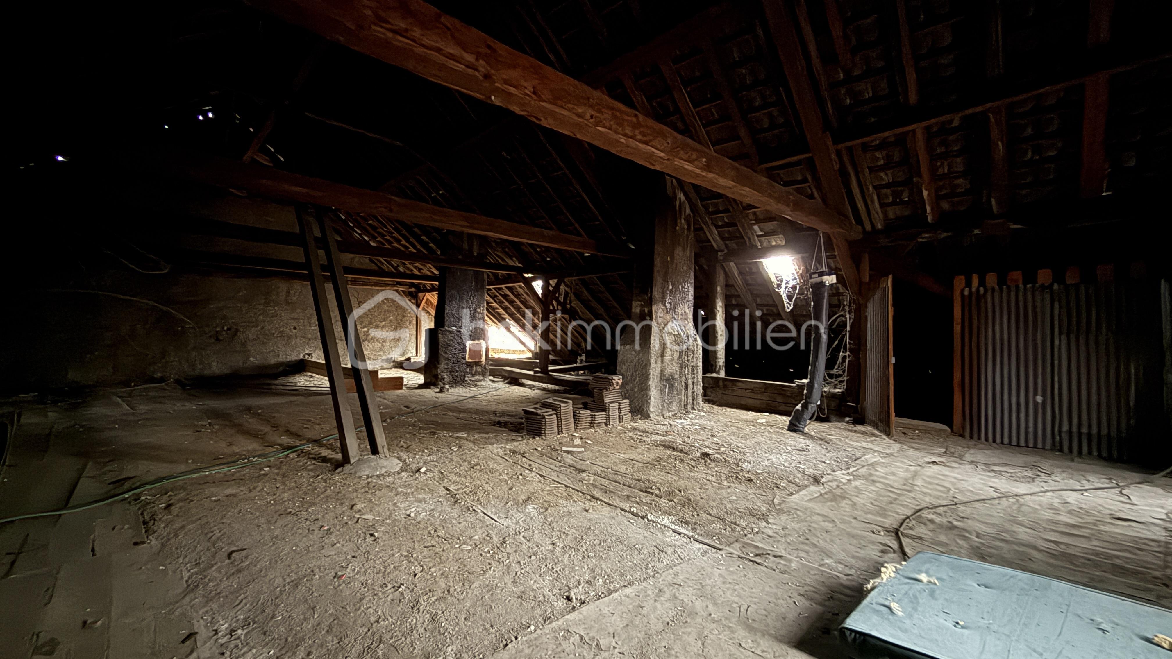 Appartement de 285 m² - IMG_1229.jpeg