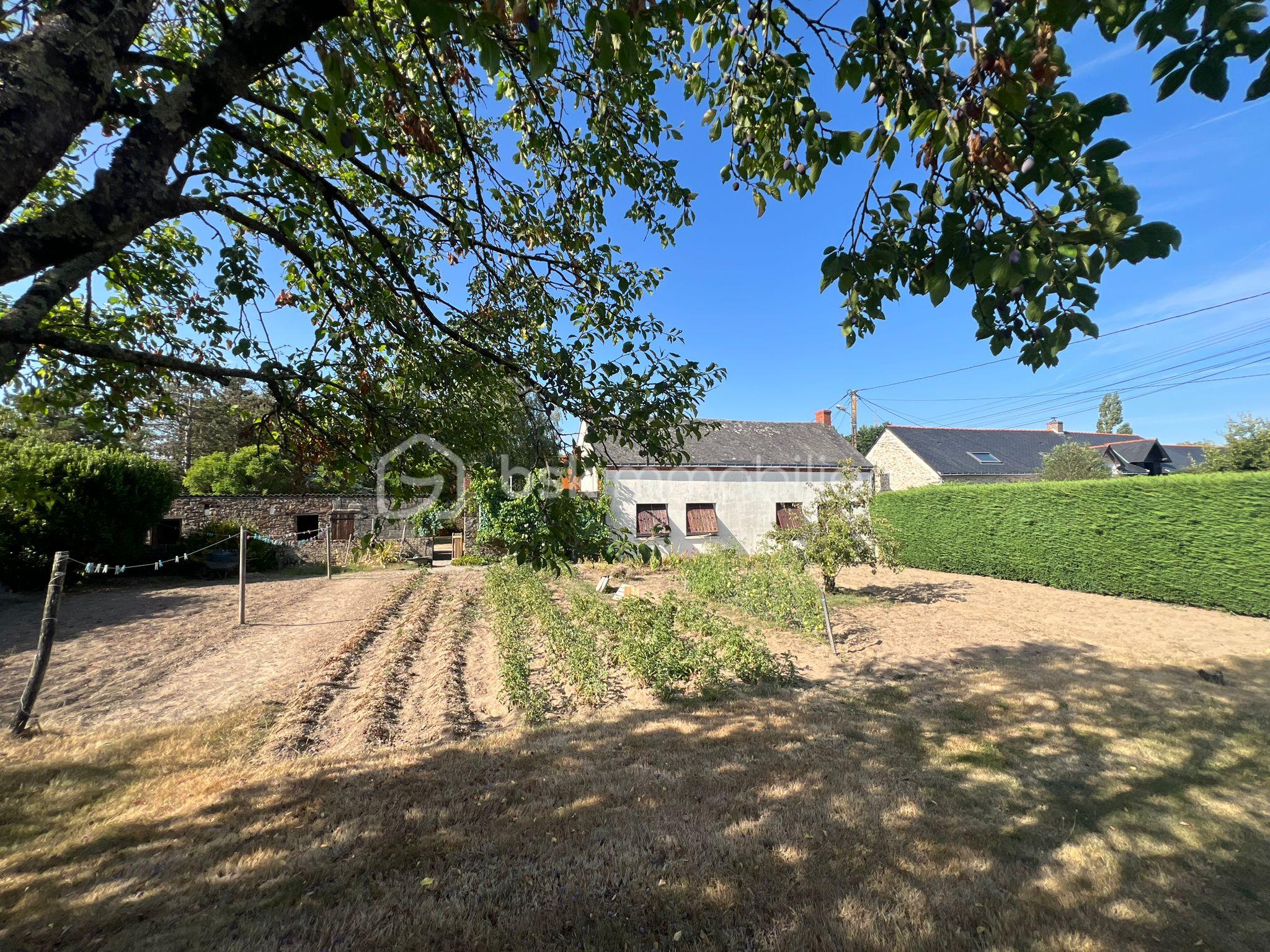 Maison de 70 m² - WhatsApp Image 2025-07-16 at 09.39.11 (1).jpeg