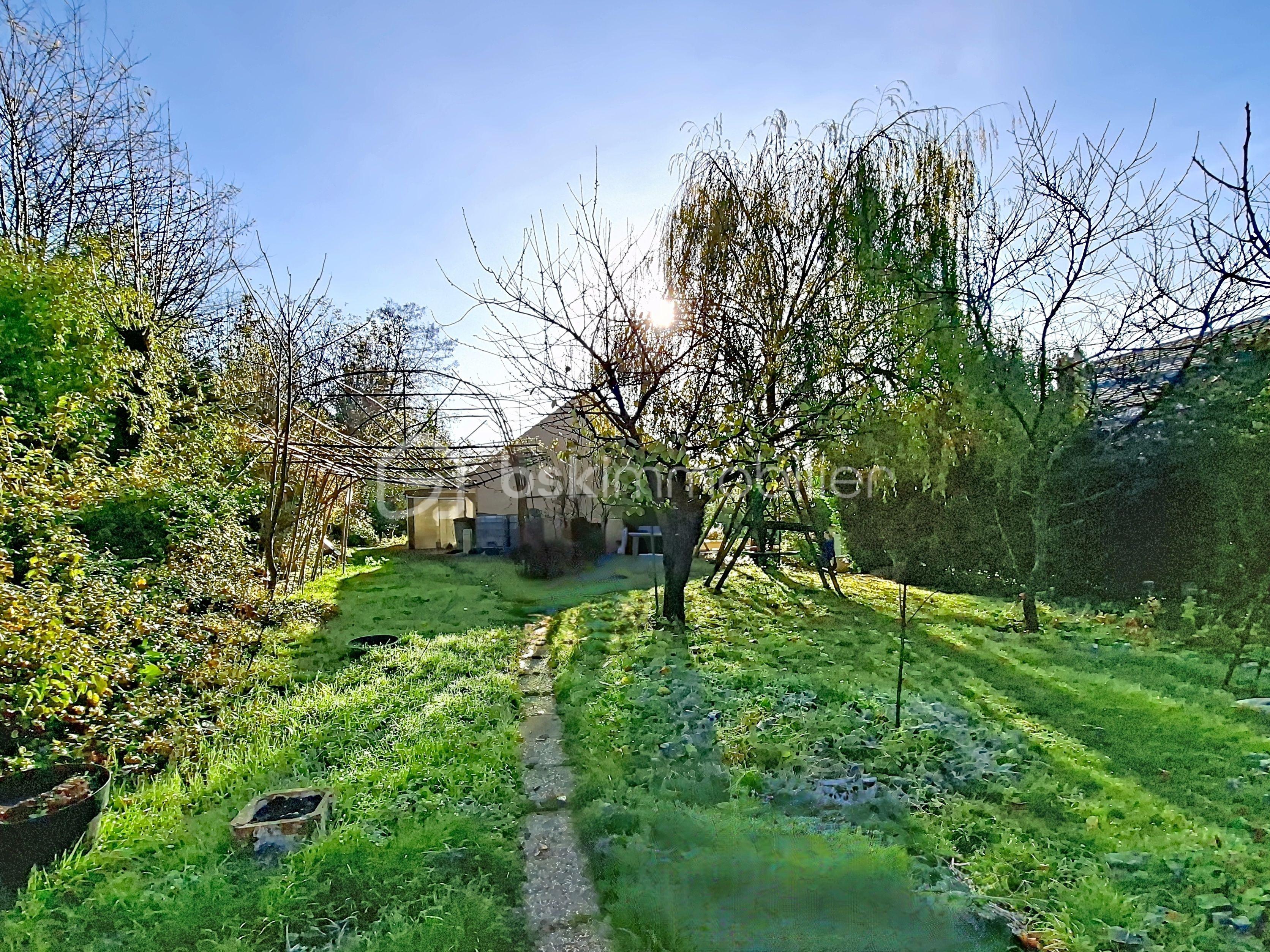 Terrain de 604 m² - Photo IA 1 sans filigane.jpg