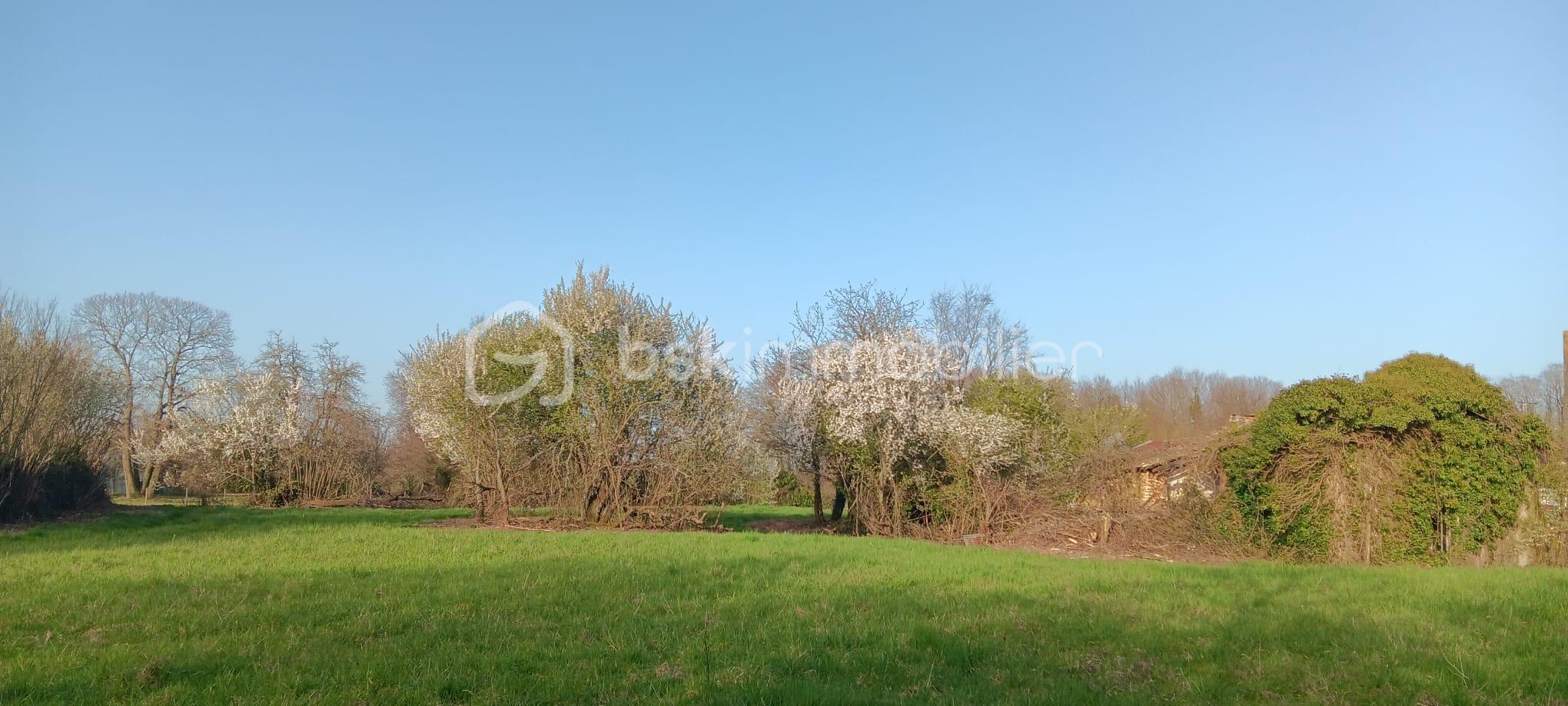 WhatsApp Image 2026-03-04 at 17.39.20 (1).jpeg