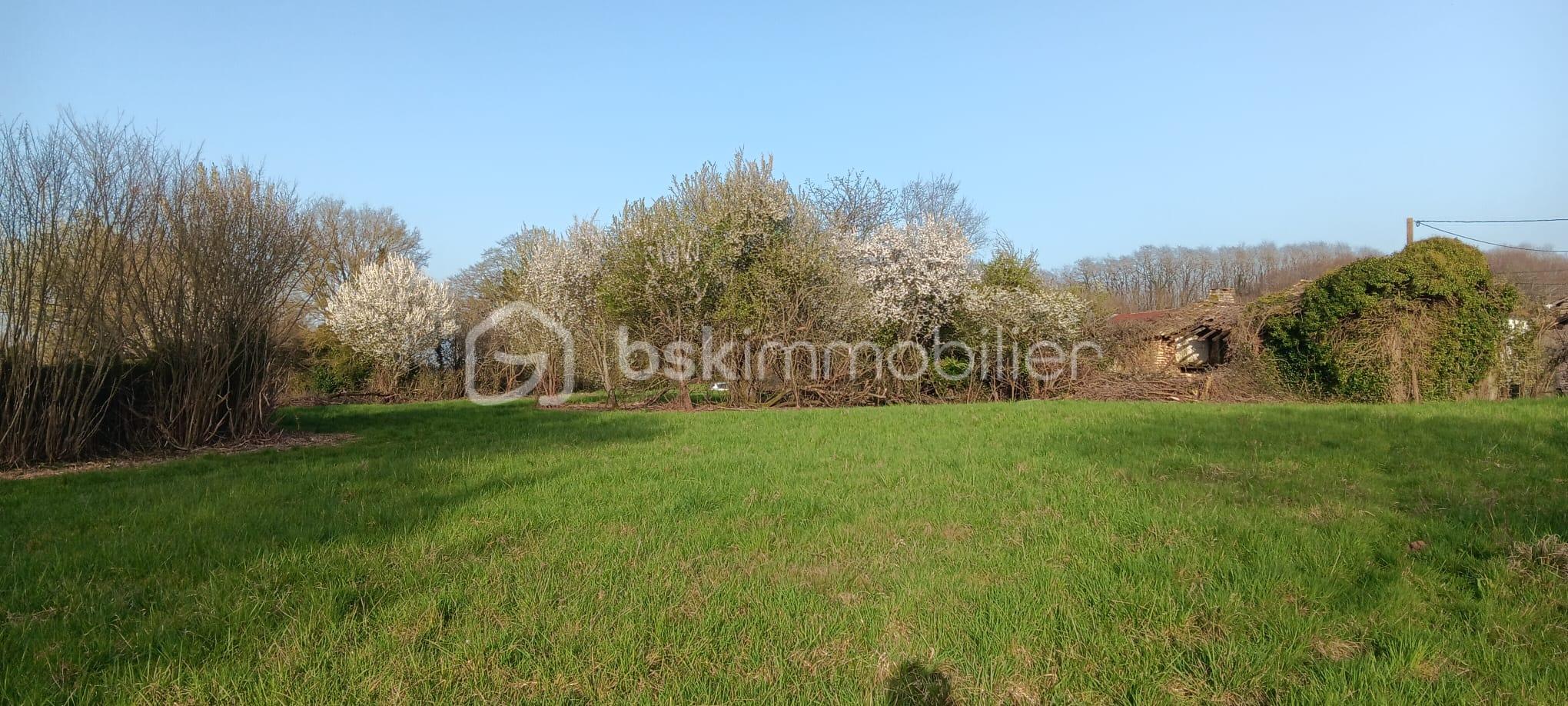 WhatsApp Image 2026-03-04 at 17.39.20 (2).jpeg